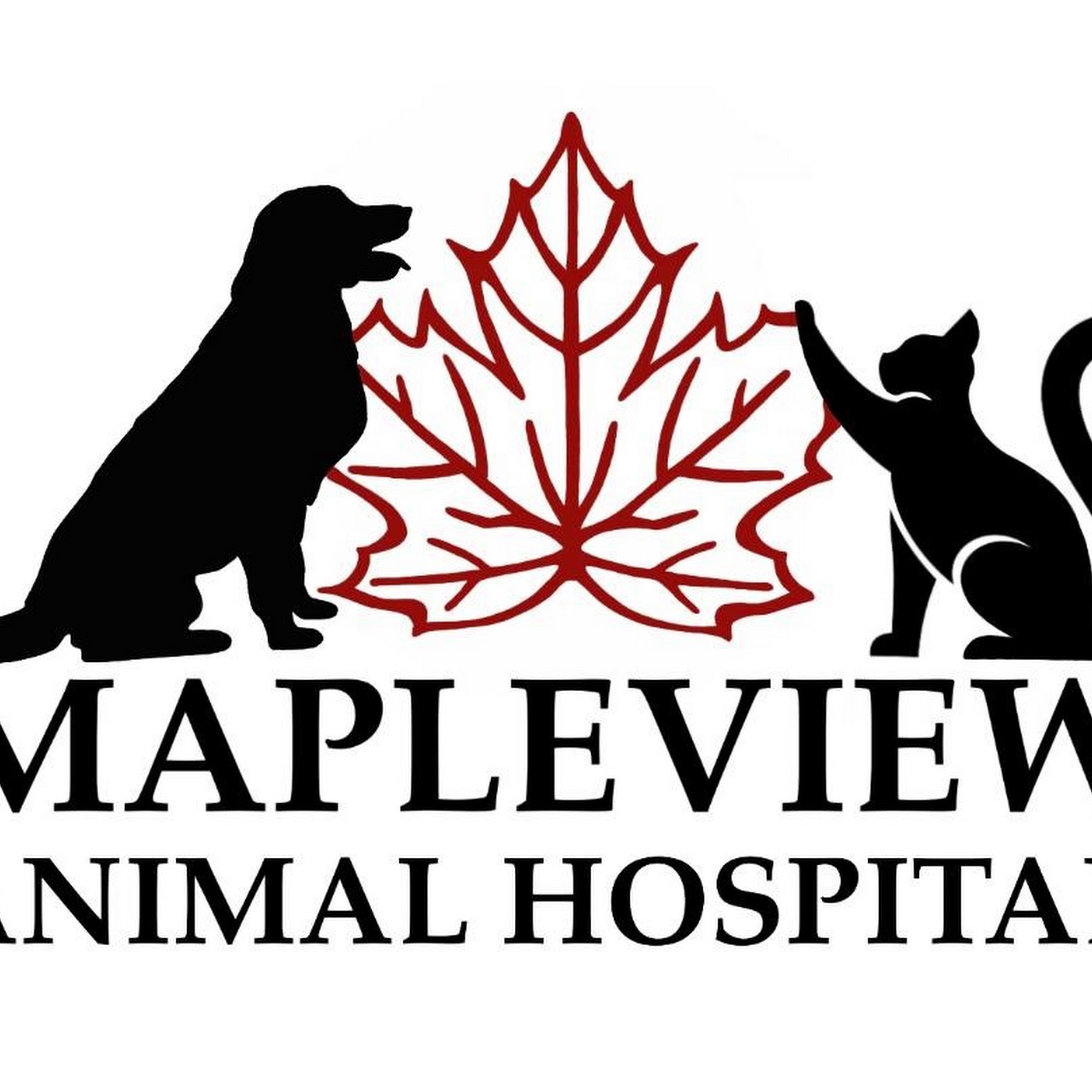 Mapleview Animal Hospital Holland