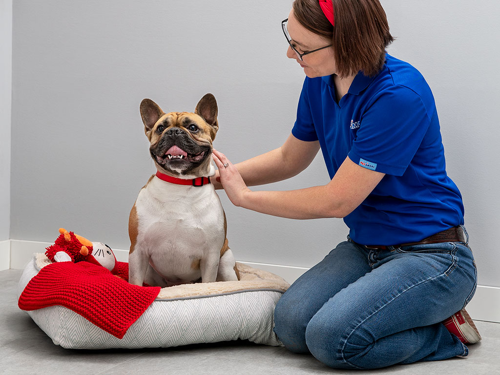 PetSmart Holland