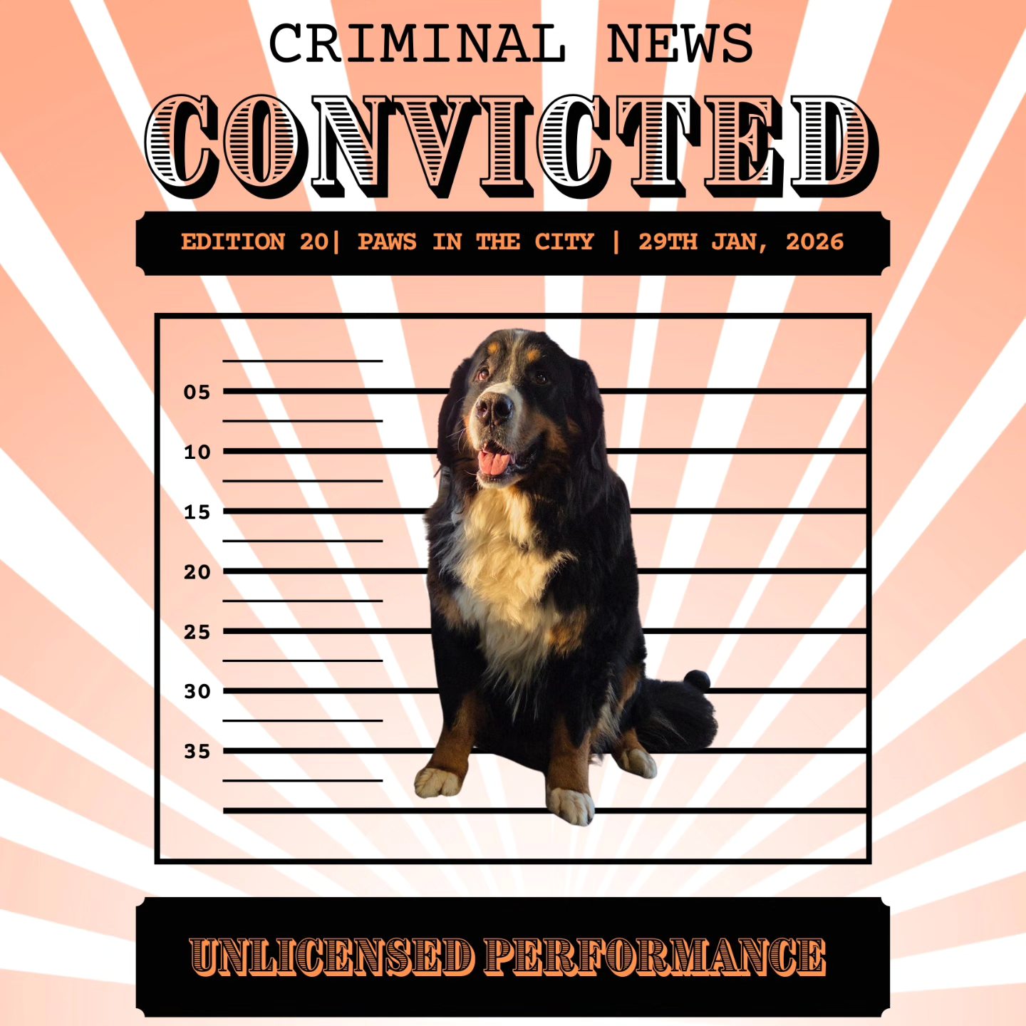 Paws in the City Holland