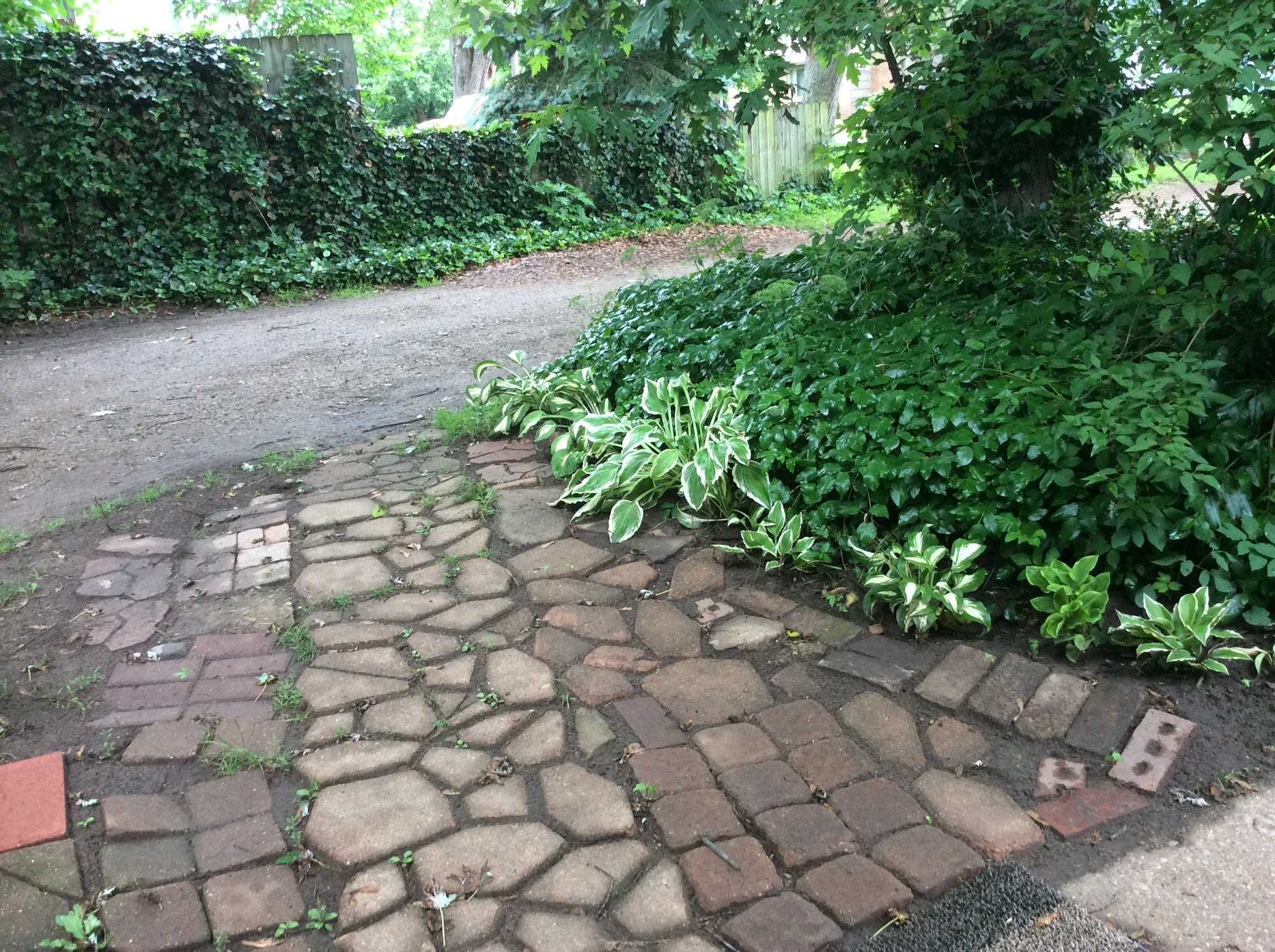 Cranberry Dog Grooming Shop Holland