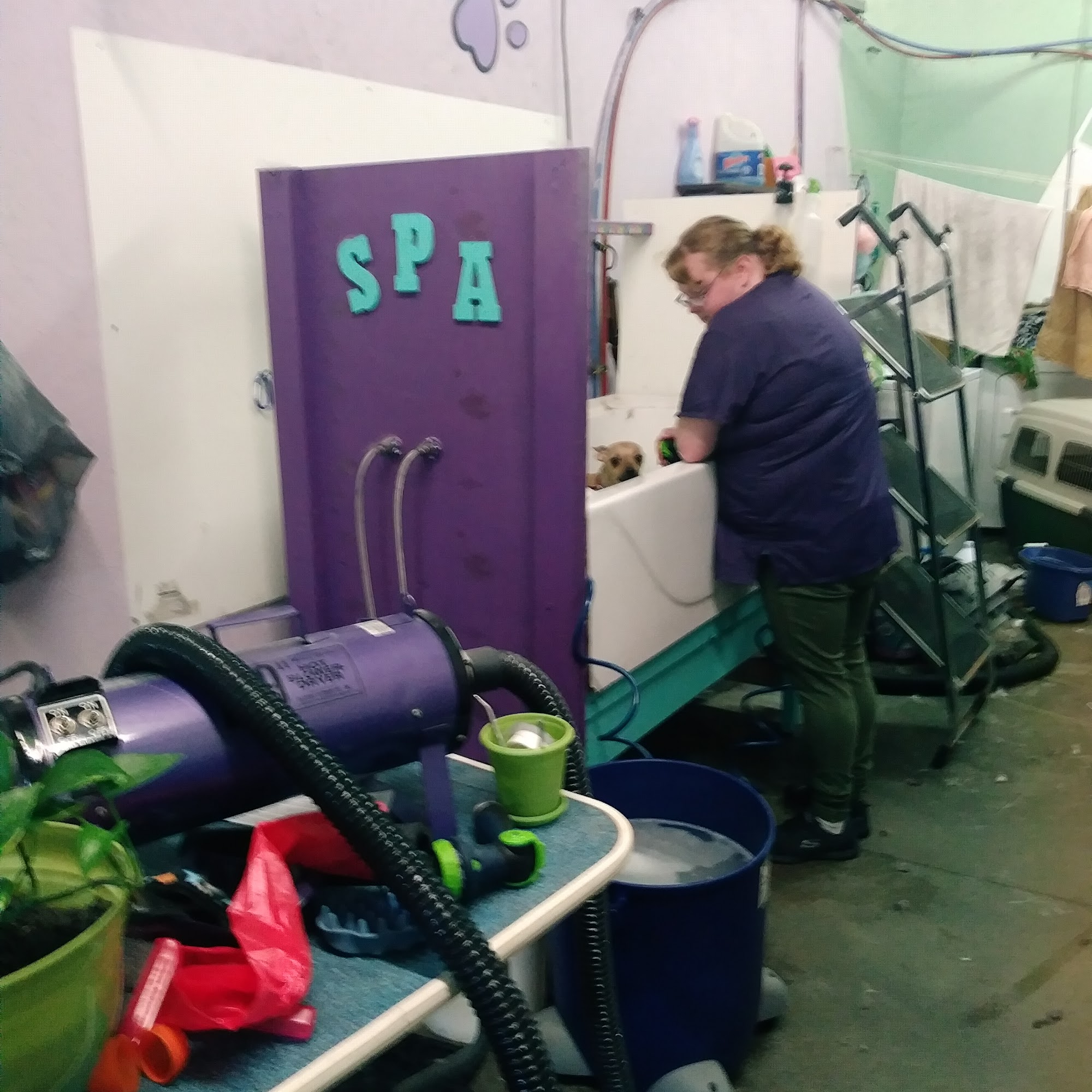 Louie's Barker Shop Holland