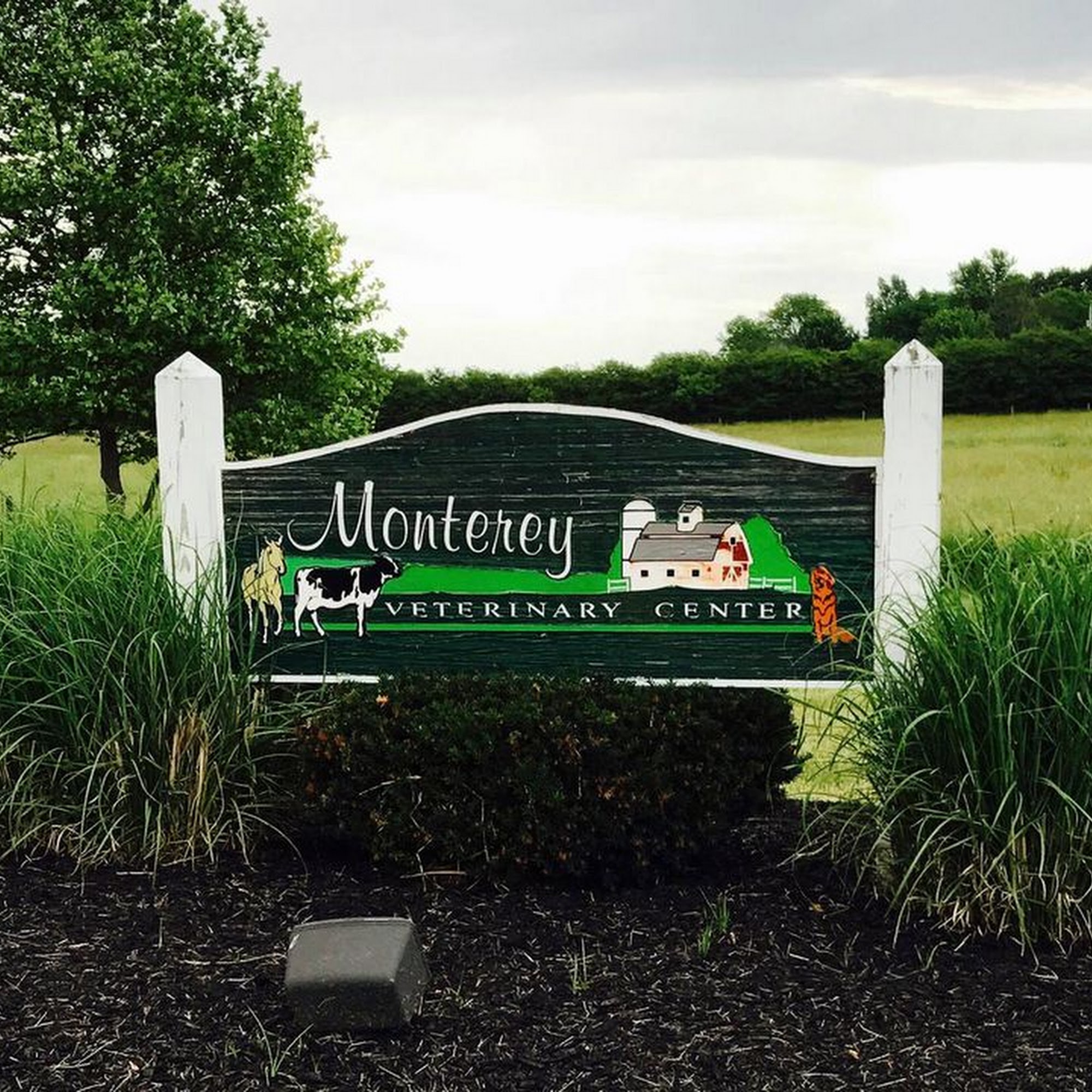 Monterey Veterinary Center Hopkins