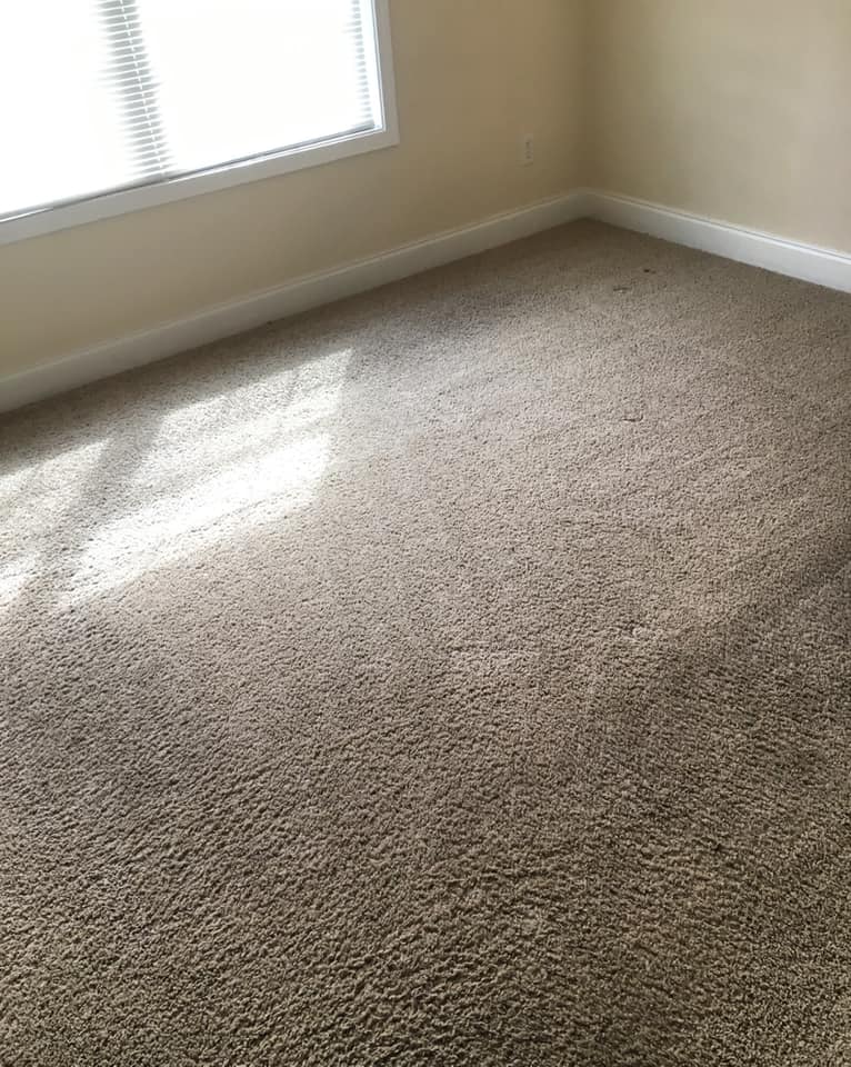 Steam Pro Carpet Cleaning LLC
