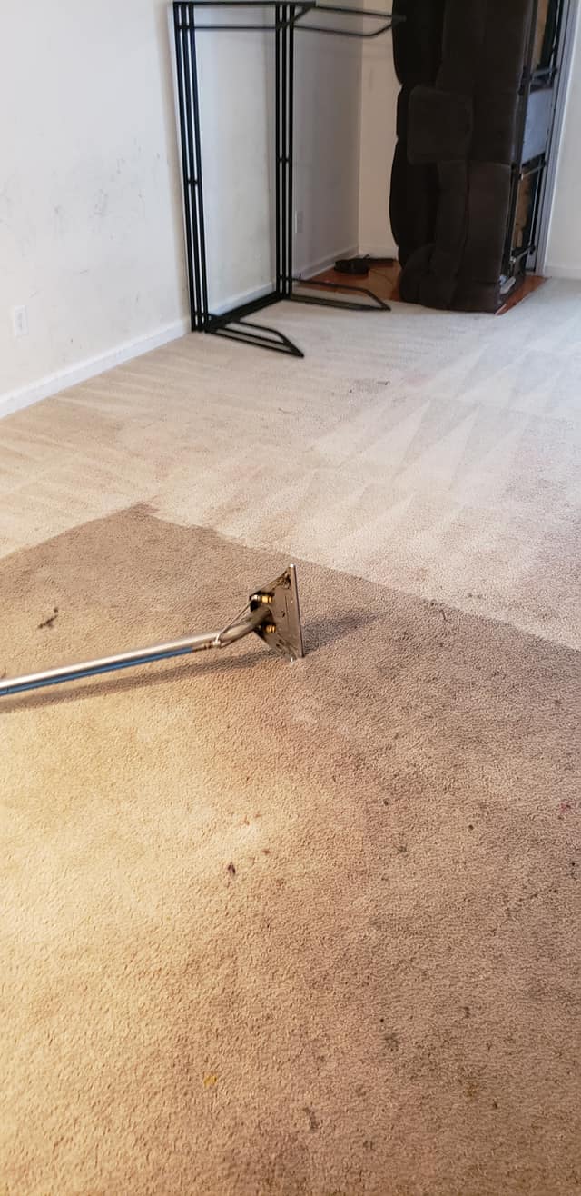 Steam Pro Carpet Cleaning LLC
