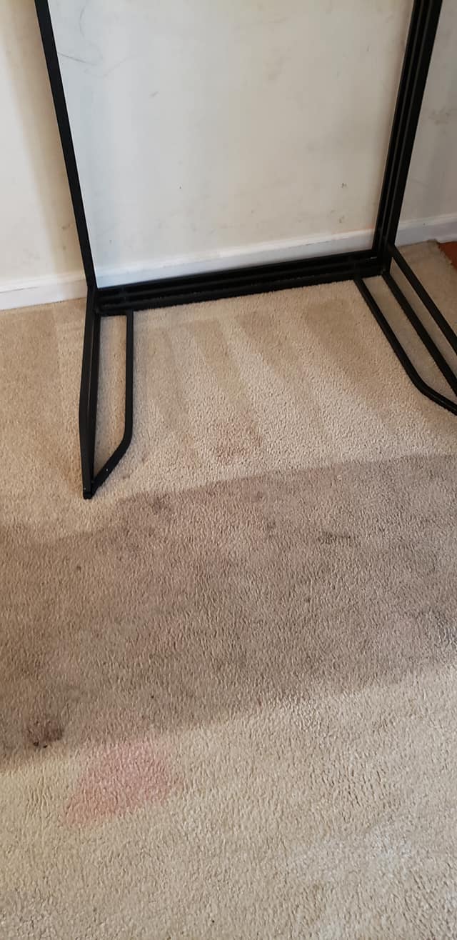 Steam Pro Carpet Cleaning LLC