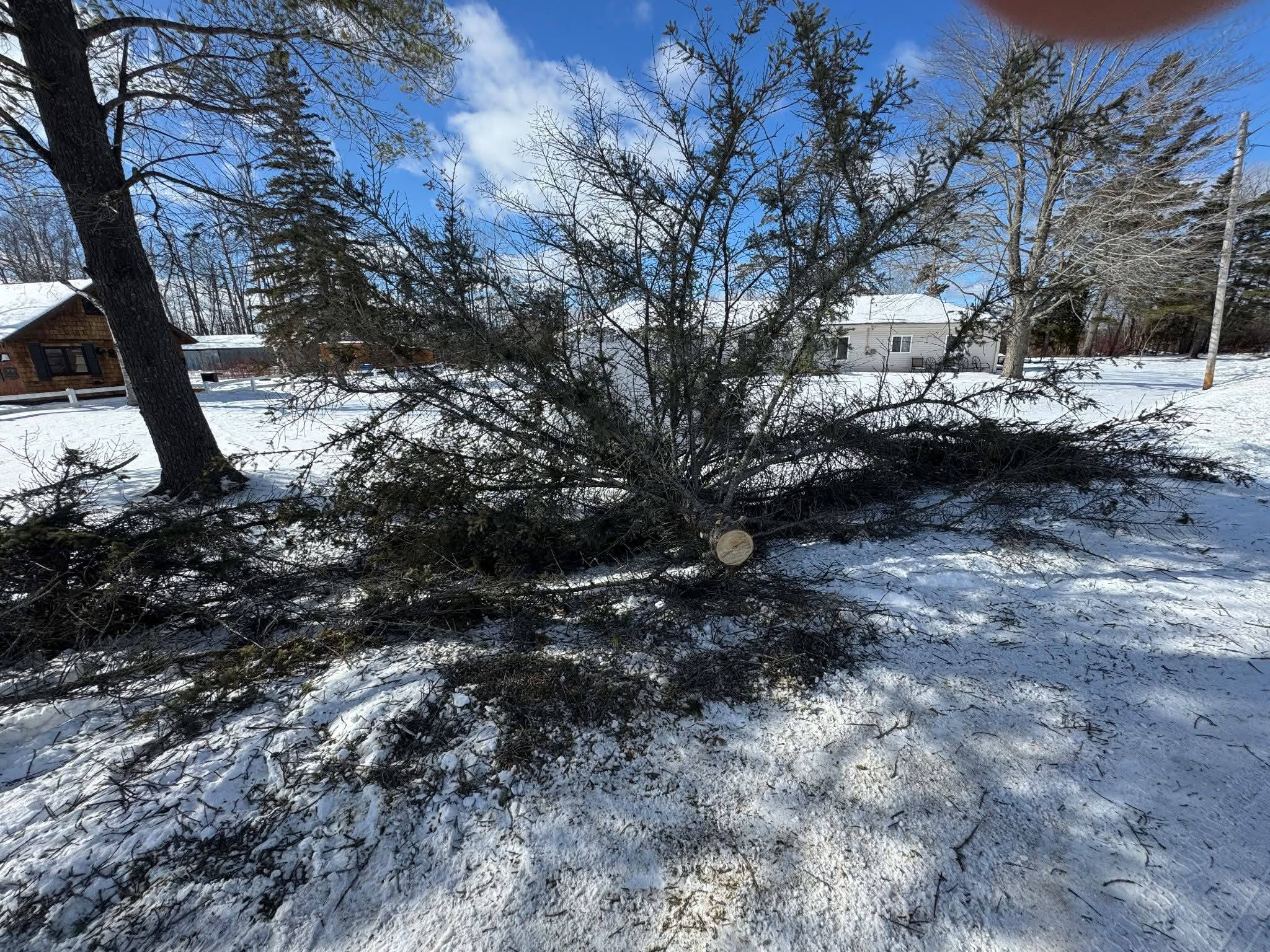 Lear's Lawn Services Inc