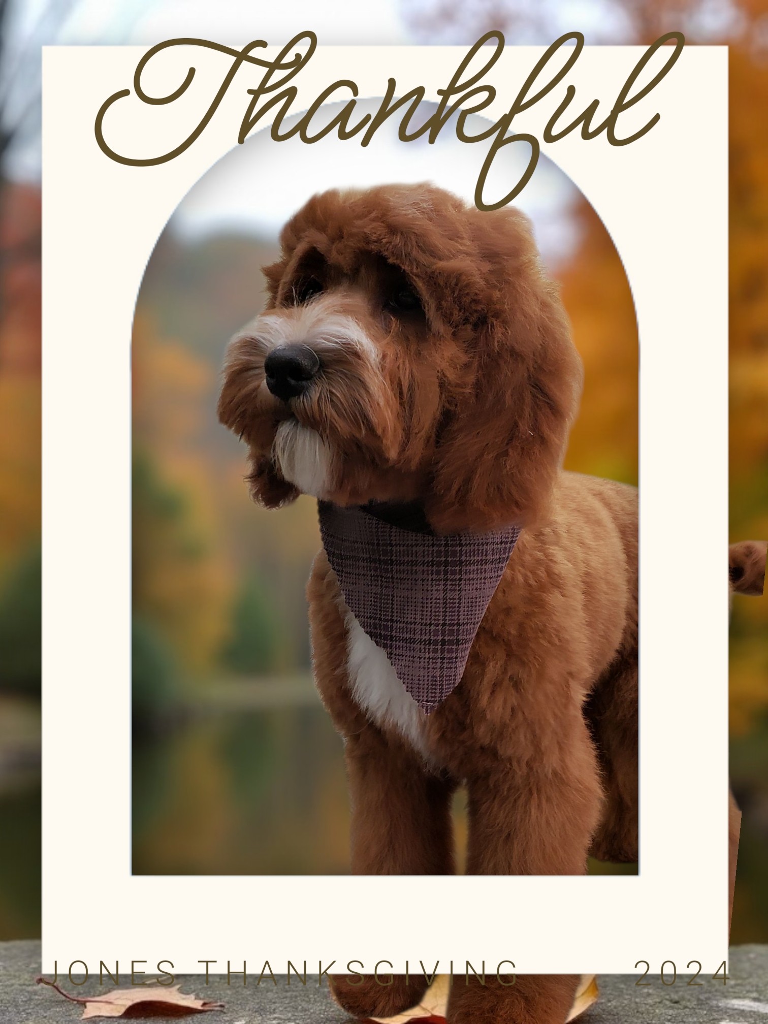 Glenda's Grooming Howell