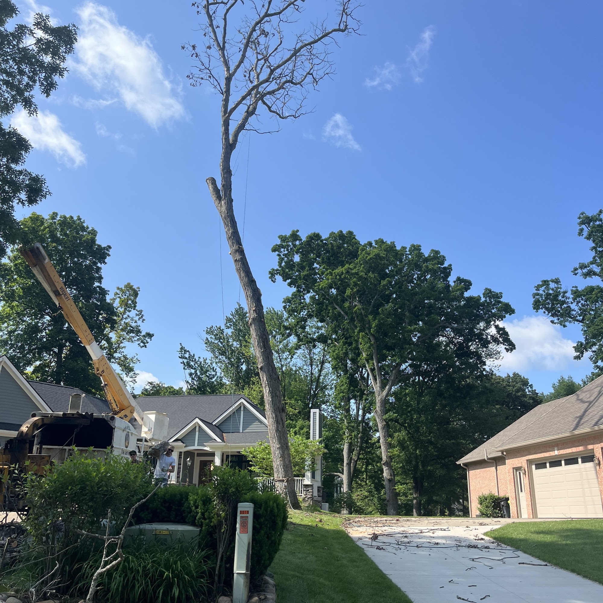 Winds of Change Tree Service