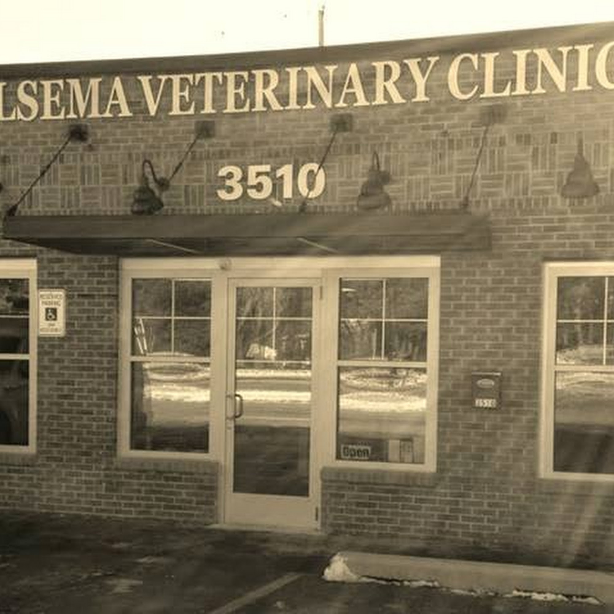 Jelsema Veterinary Clinic Hudsonville