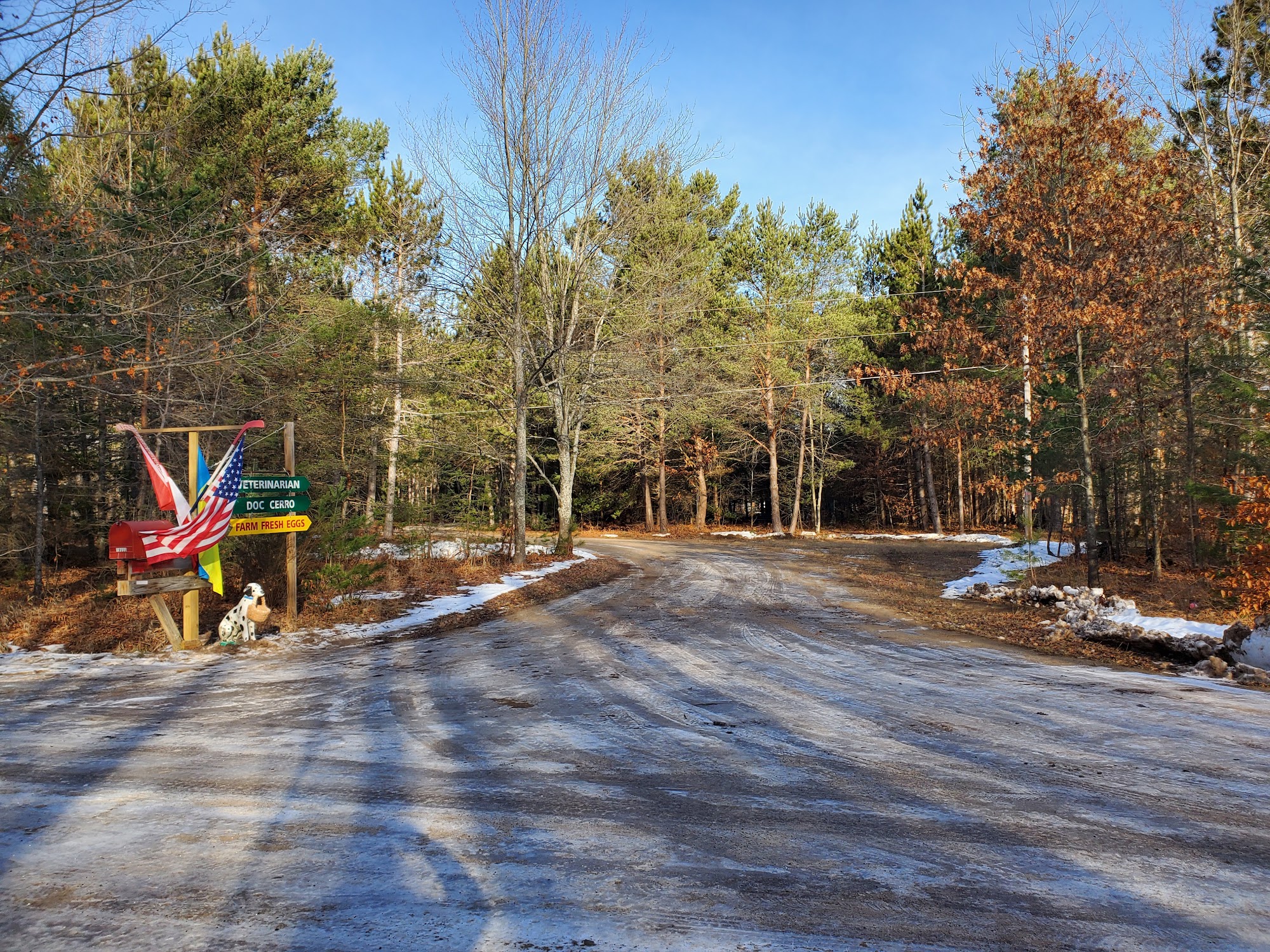 All Animal Veterinary Center Interlochen