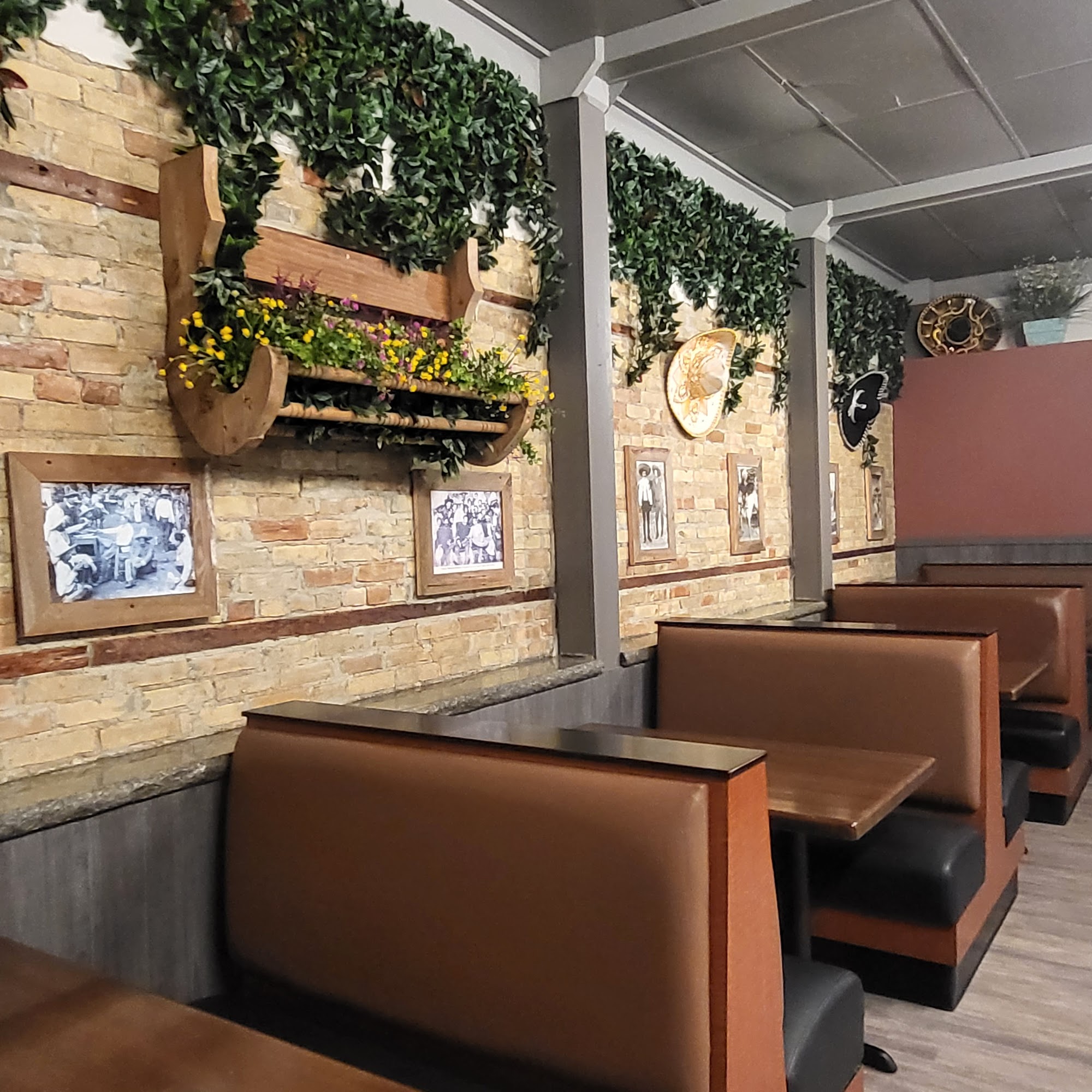 El Mariachi Mexican Grill & Bar Ionia