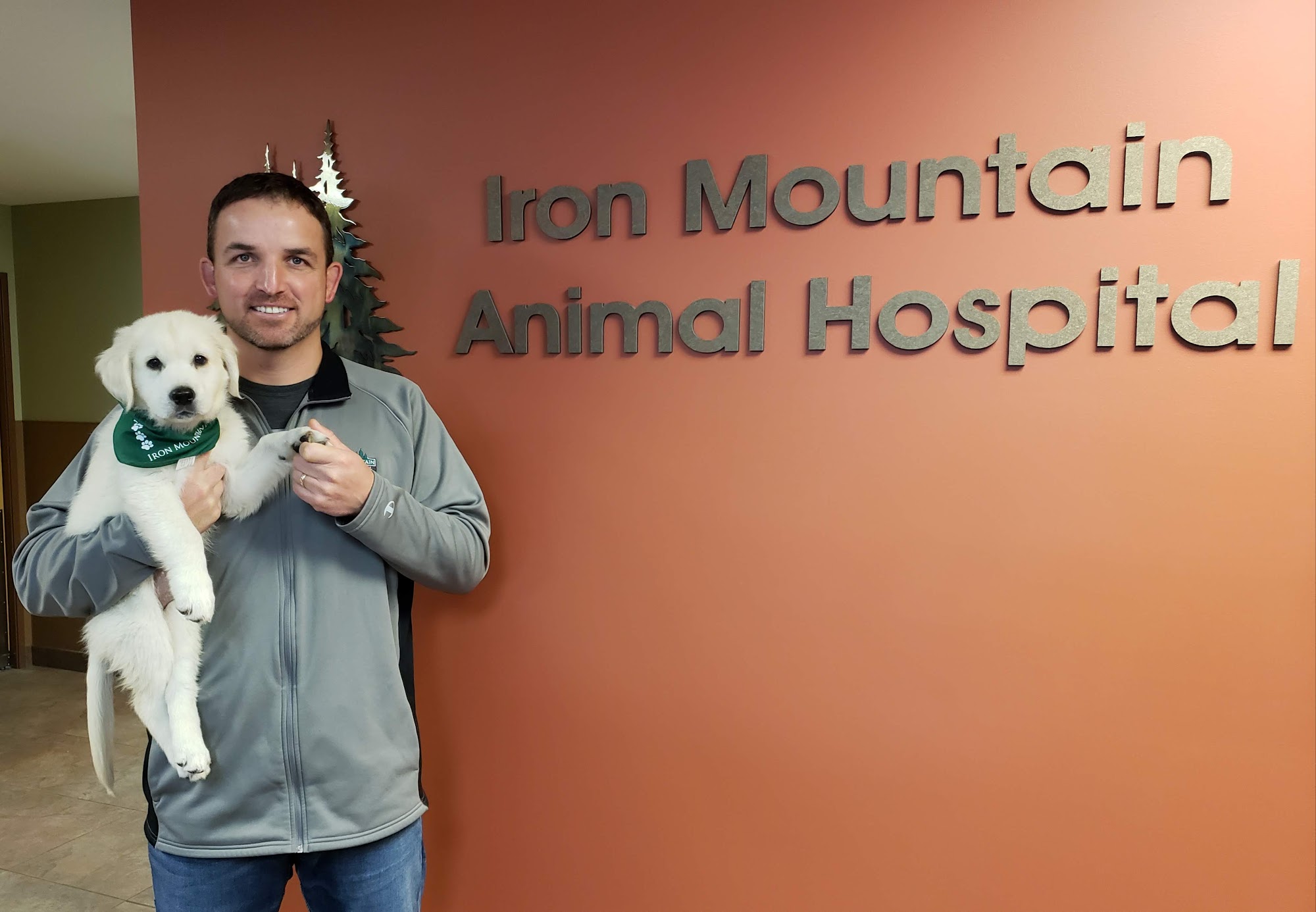 Iron Mountain Animal Hospital Iron Mountain
