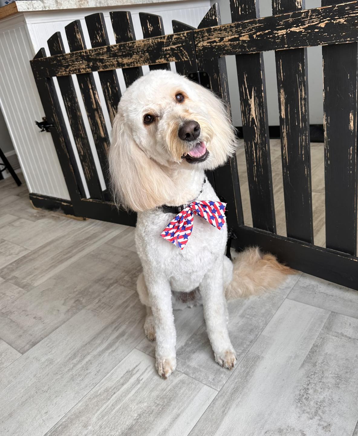 Heart To Heart Pet Salon Iron Mountain