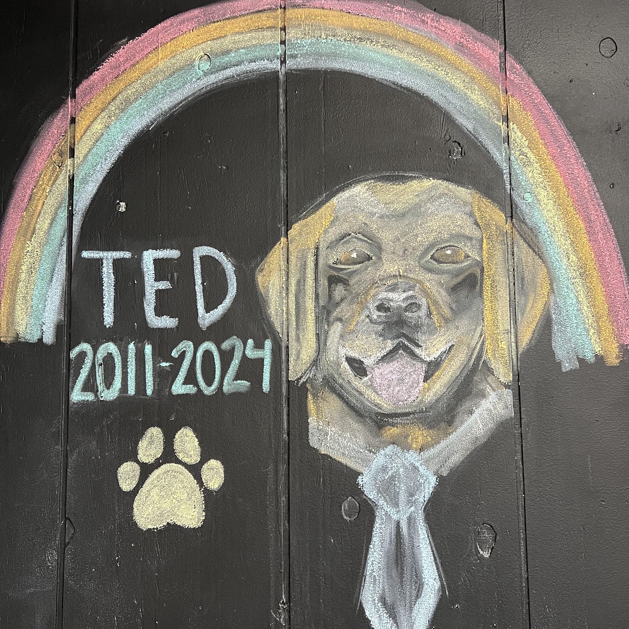 The Drooling Dog Bakery & Beyond Ironwood