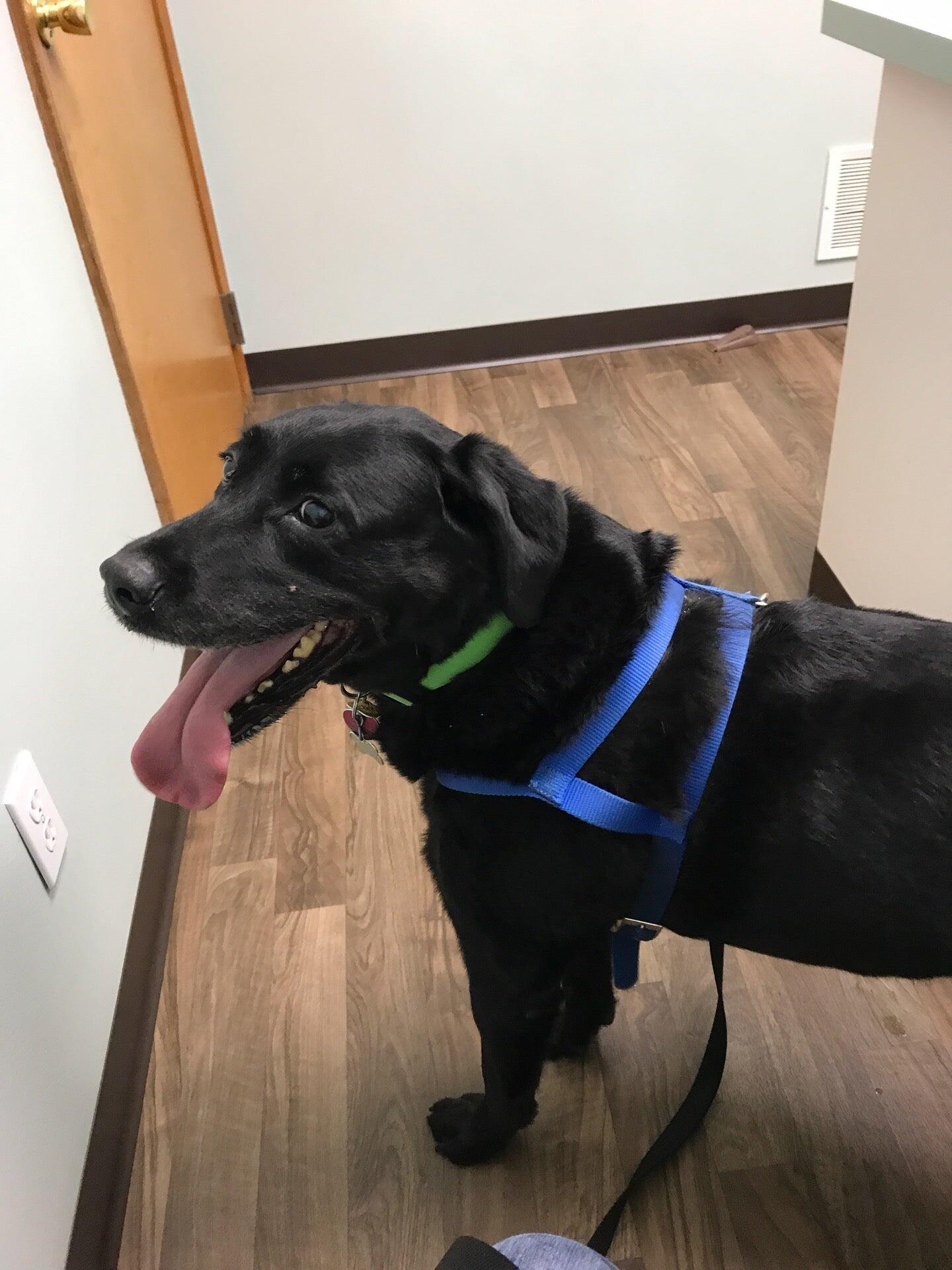 Blackman Animal Clinic Jackson