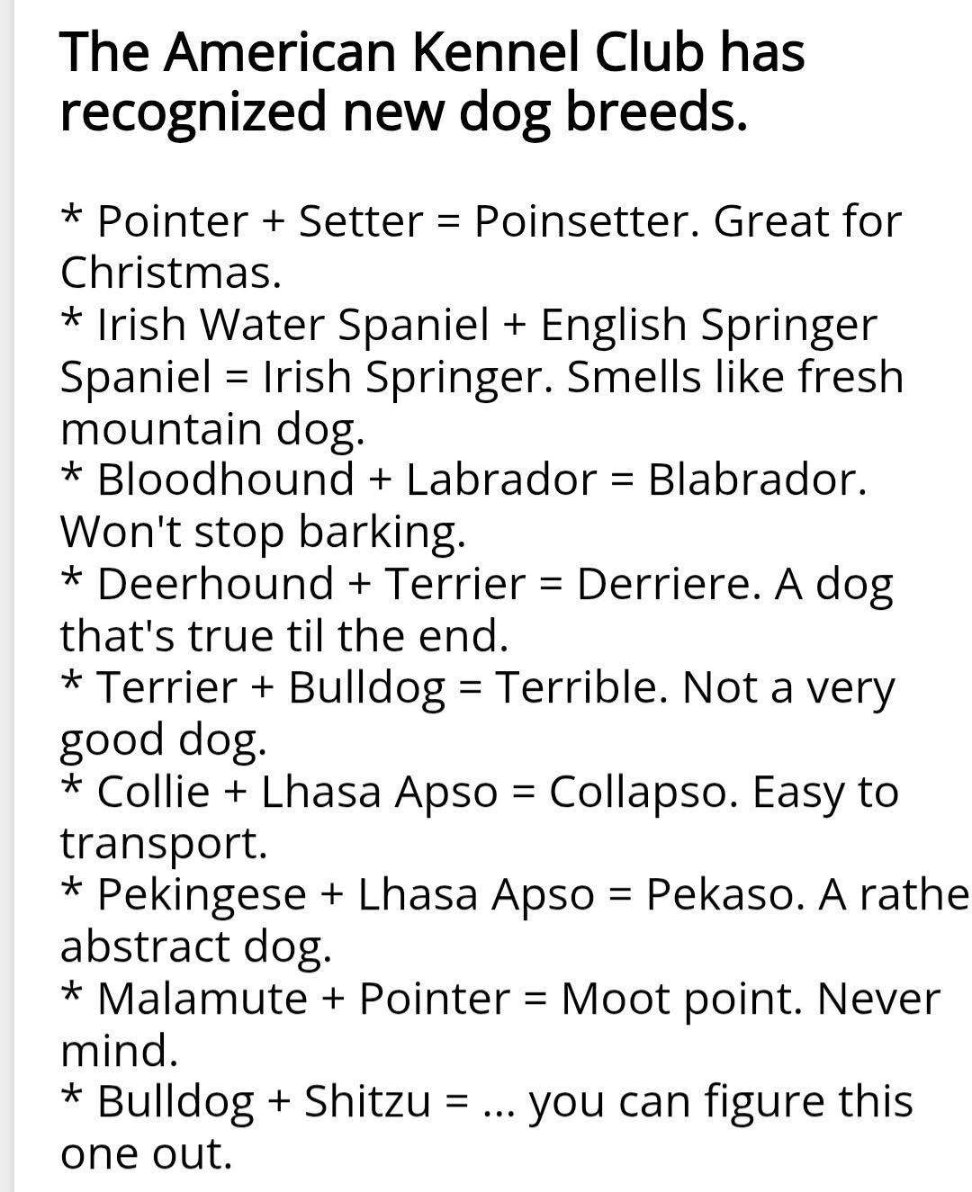 Shannon's Professional Pet Grooming Jackson