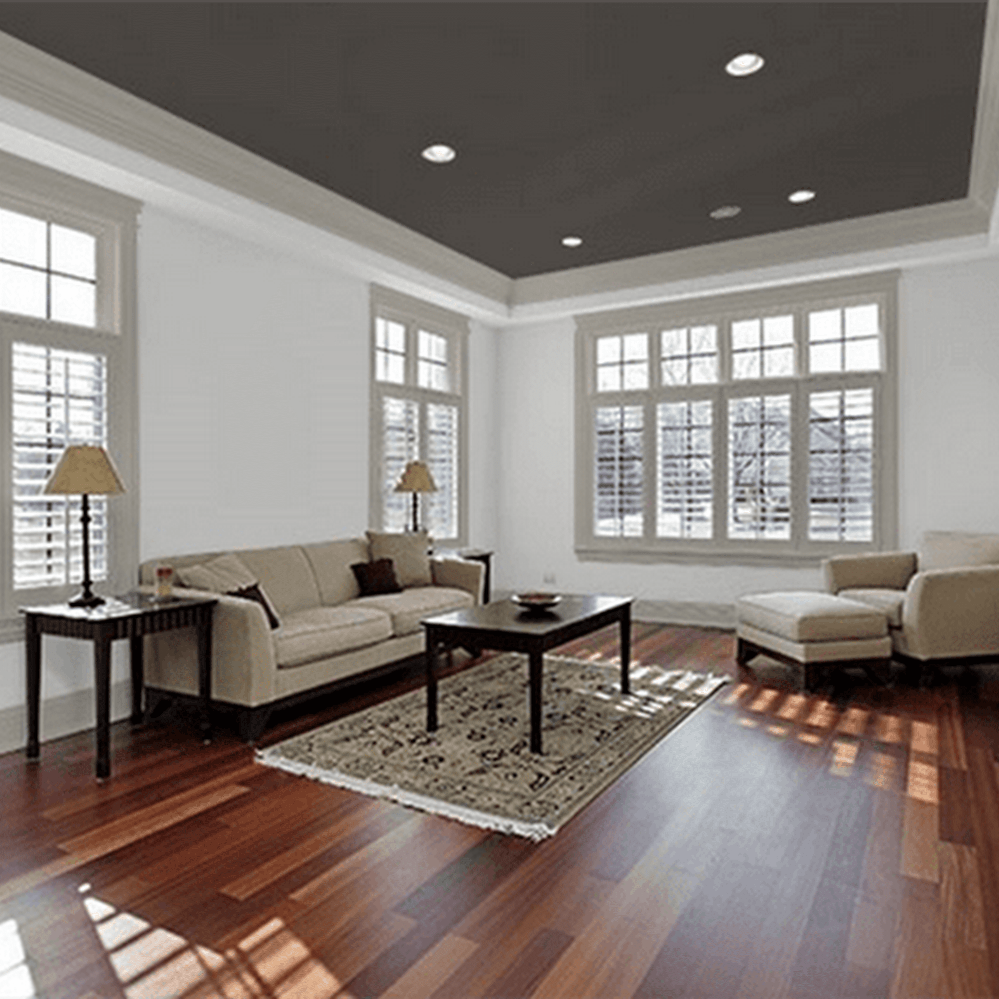Jackson Painters