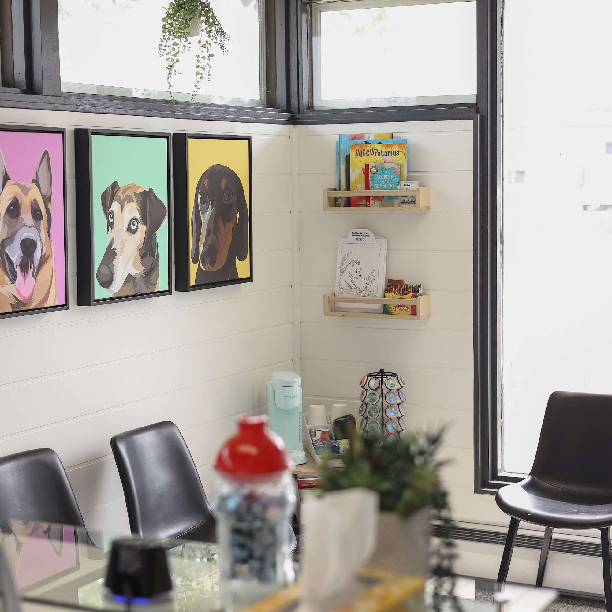 Jenison Animal Hospital Jenison