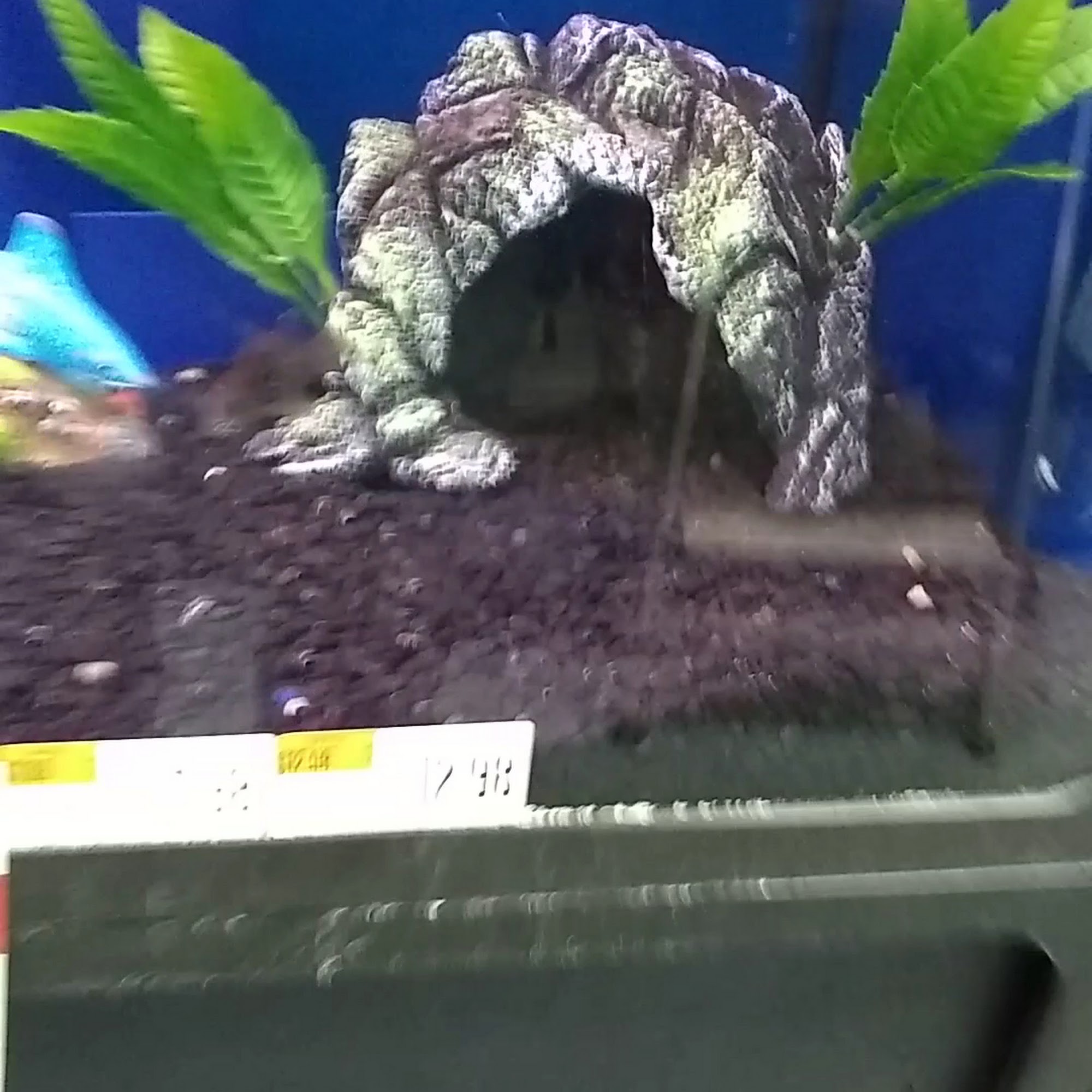 Pet Supplies Plus Kalamazoo Kalamazoo