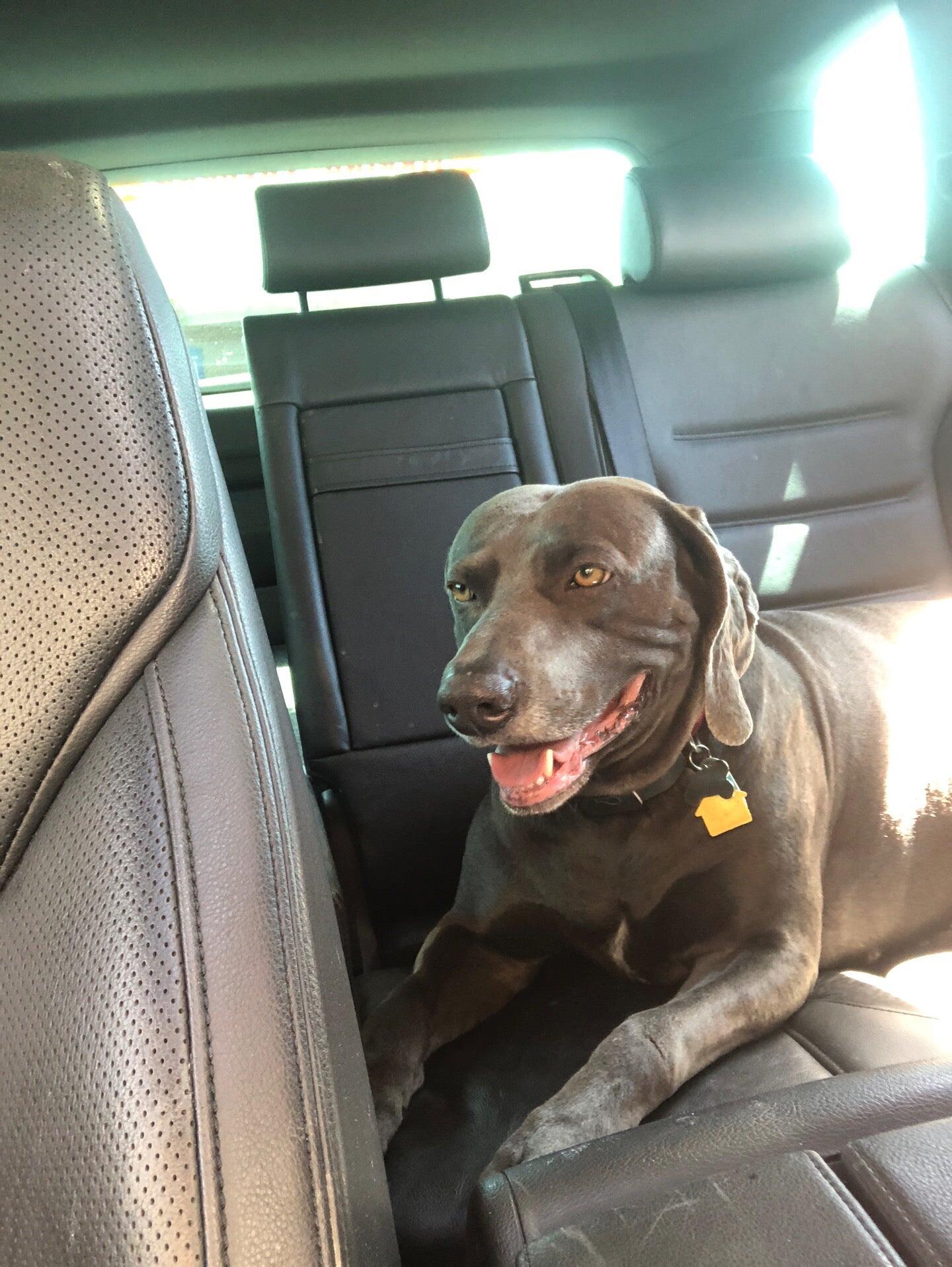 Photo credit: nextdoor