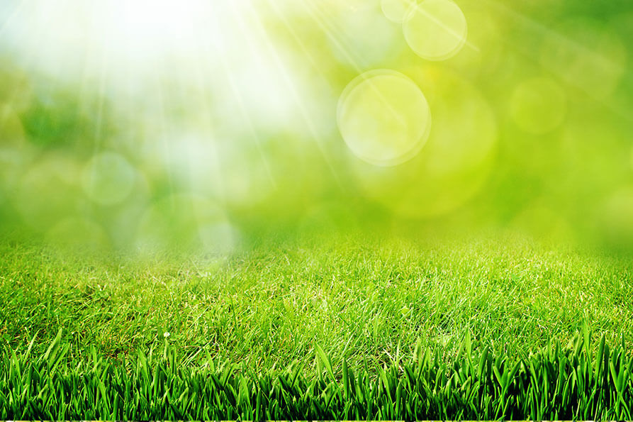 Barefoot Lawn LLC