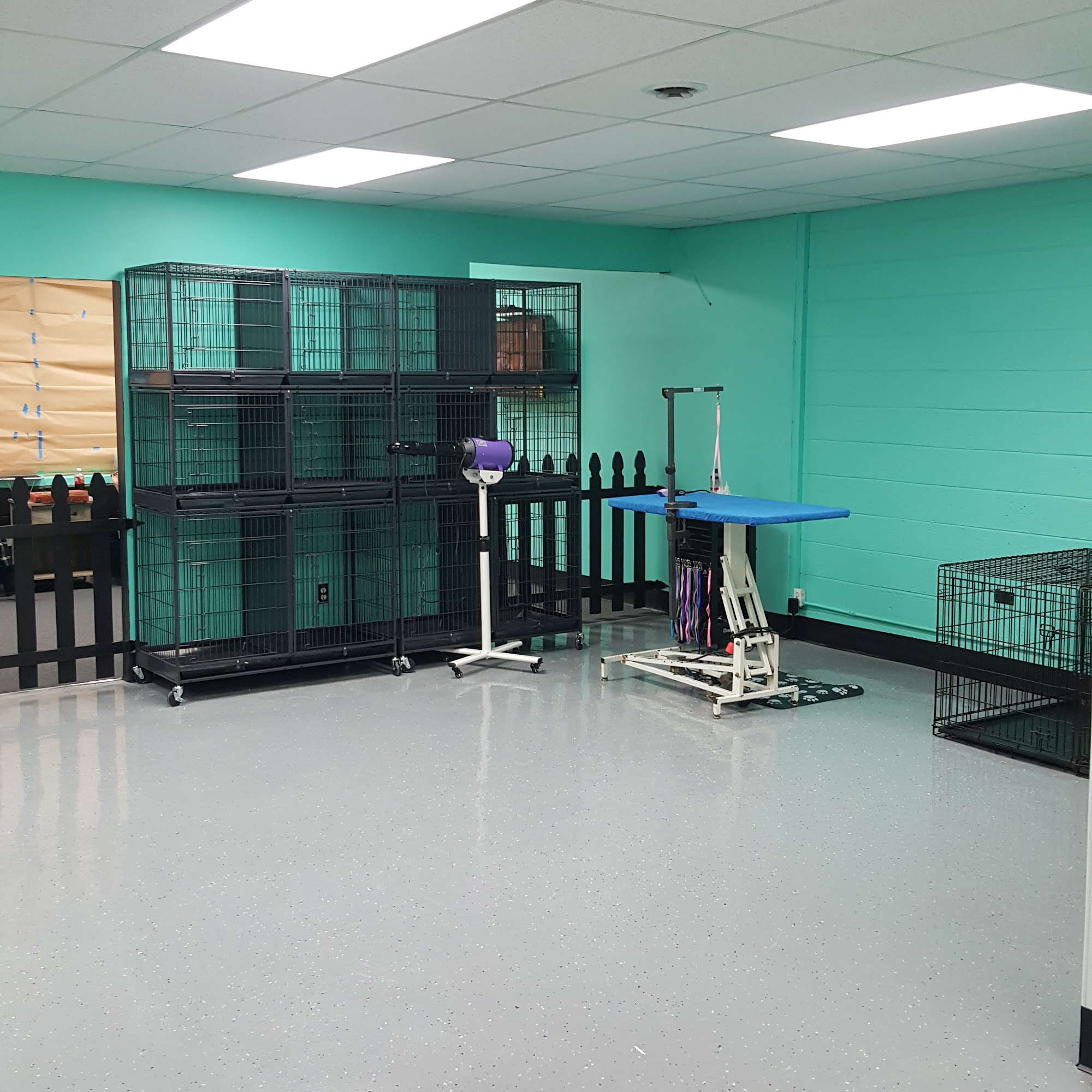 K-9 Designs Dog Grooming Keego Harbor