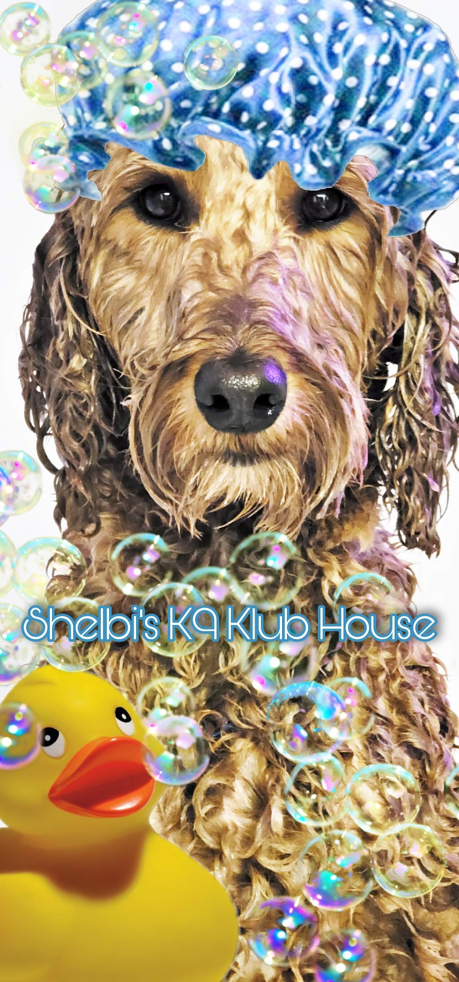 Shelbi's K9 Klub House Kimball