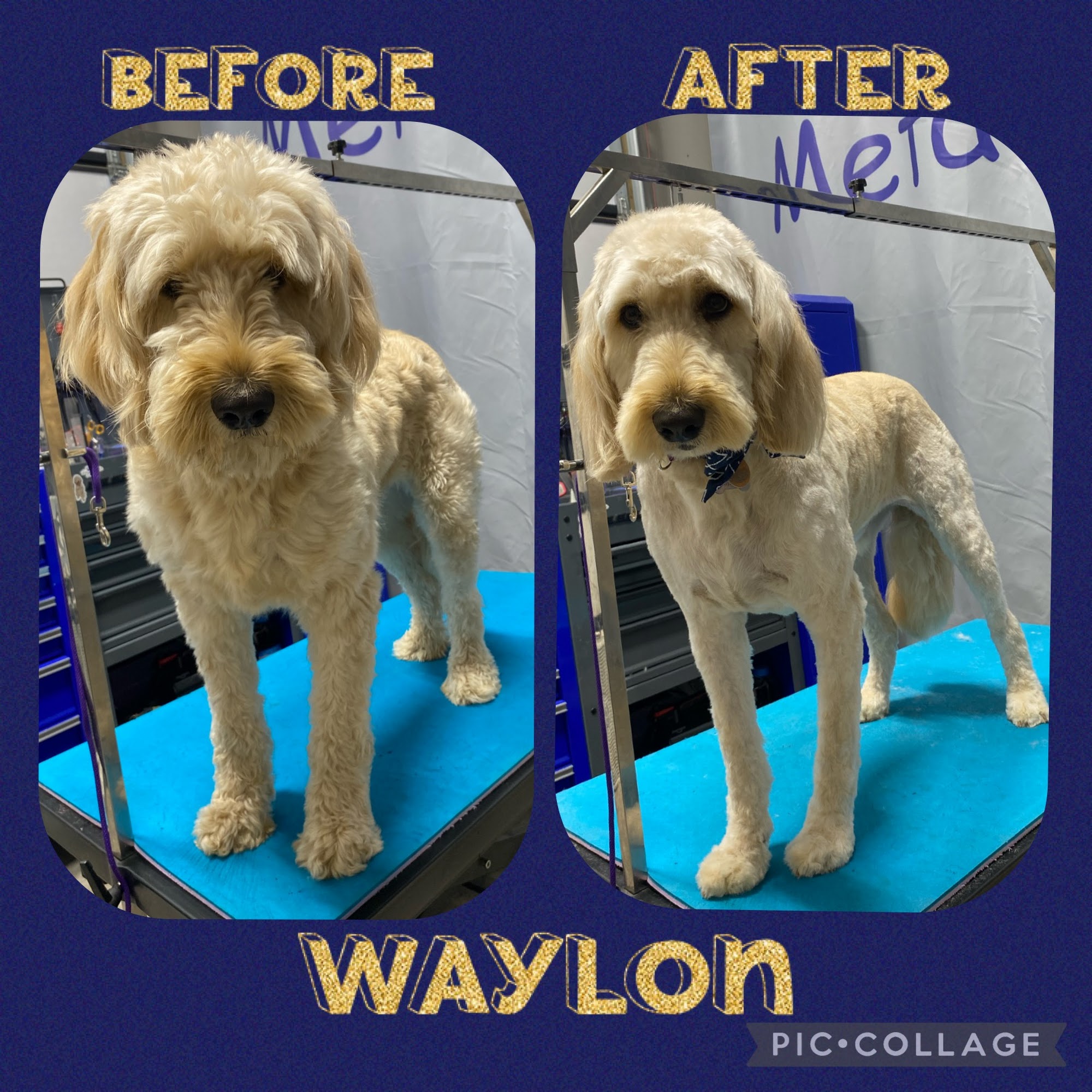 Metal Roof Grooming LLC Kingsford