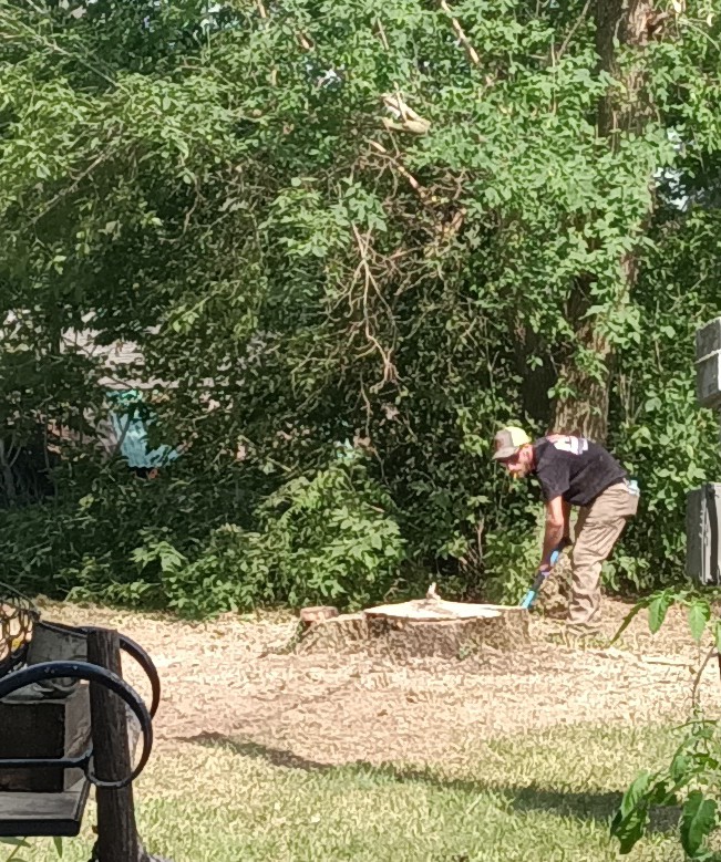 Highline Tree Service