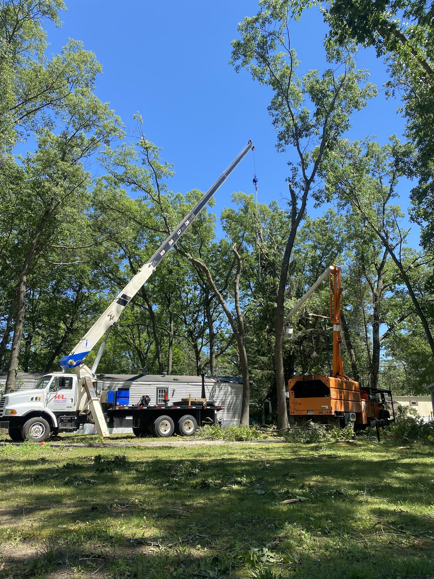 Highline Tree Service 11923 N Vining Rd, Lakeview Michigan 48850