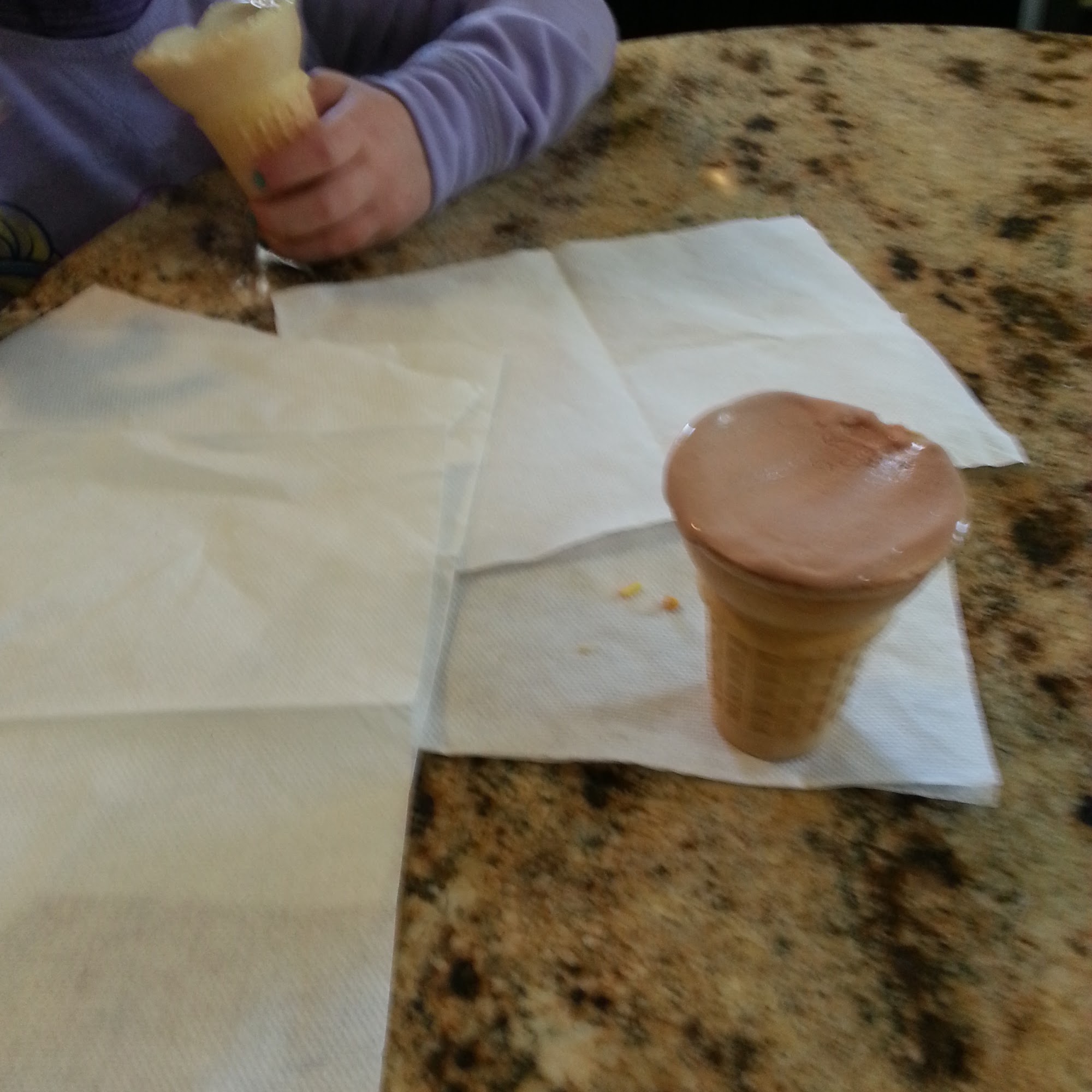 Arctic Cafe Lambertville