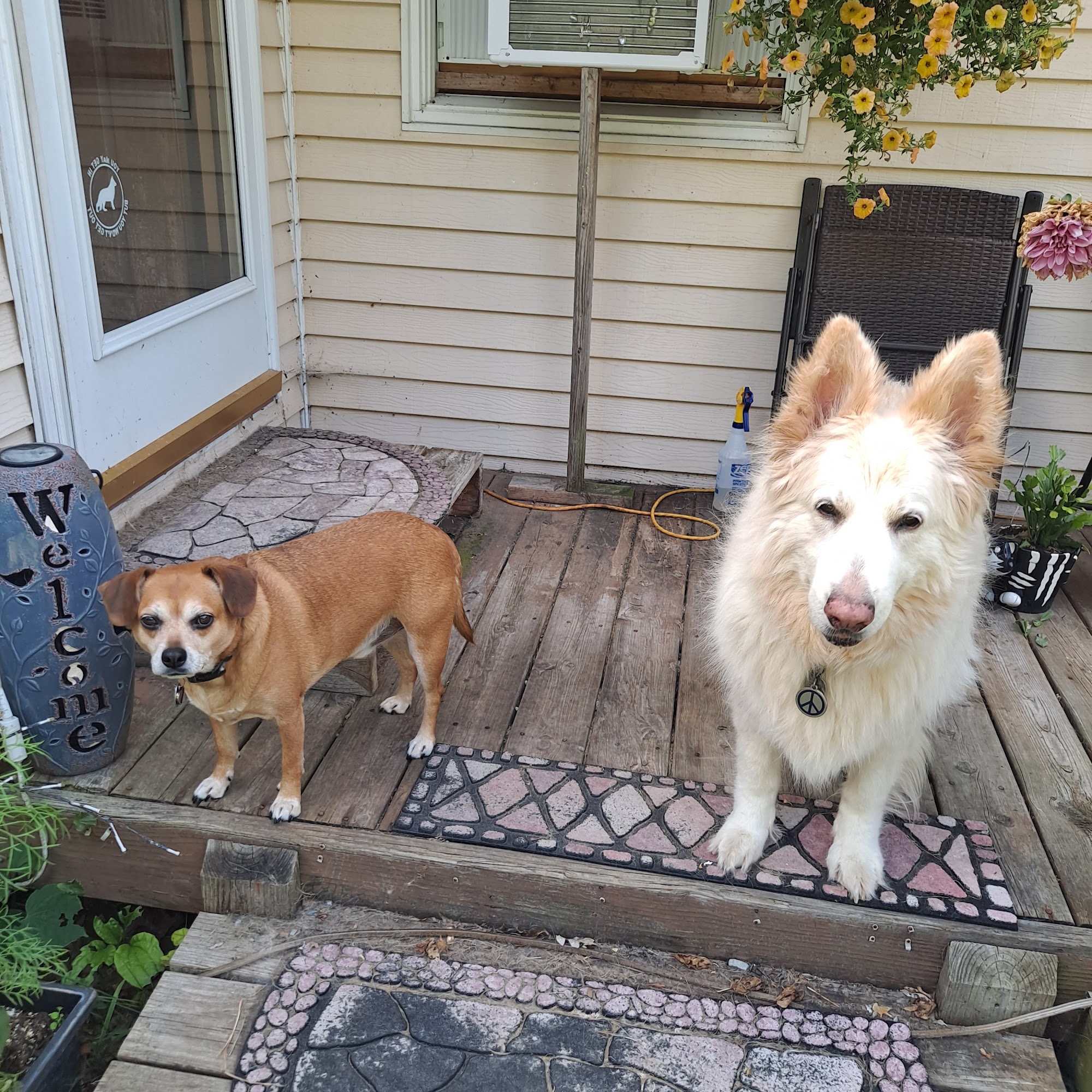 Lambertville Veterinary Clinic Lambertville