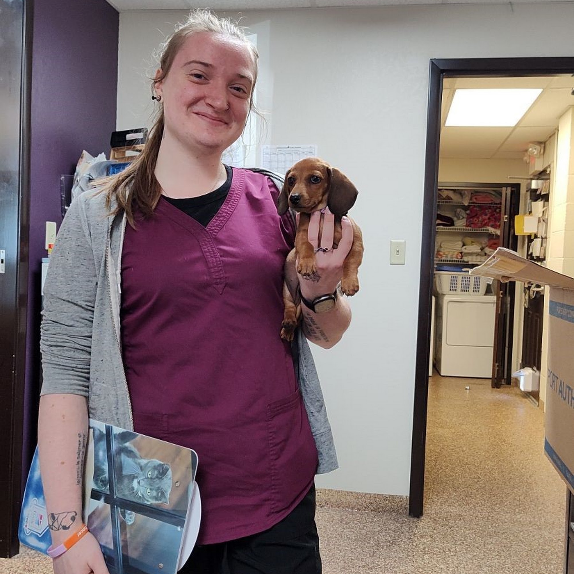 Paws & Claws Animal Hospital Lambertville