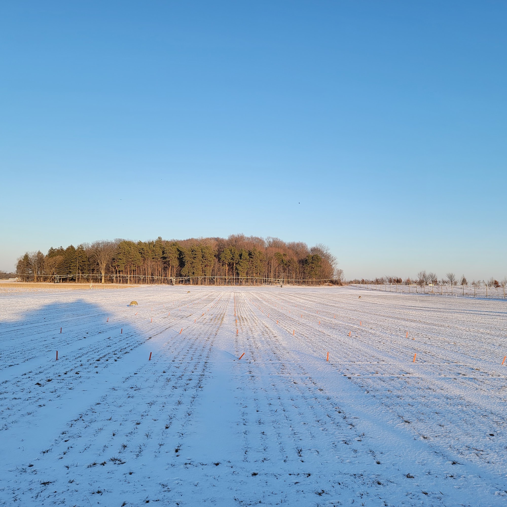 Veterinary Diagnostic Laboratory Lansing