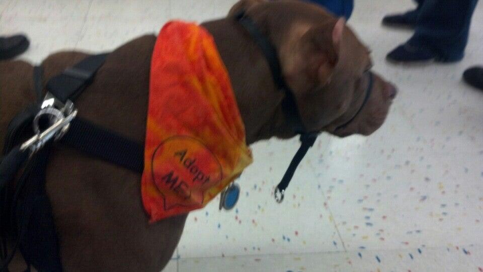 Photo credit: nextdoor