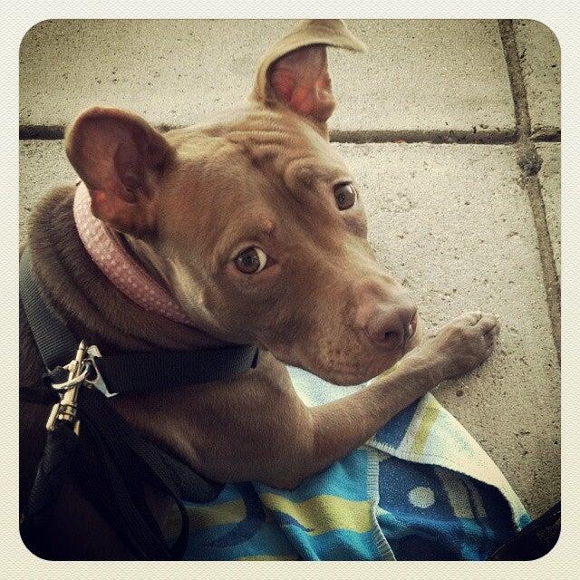 Photo credit: nextdoor