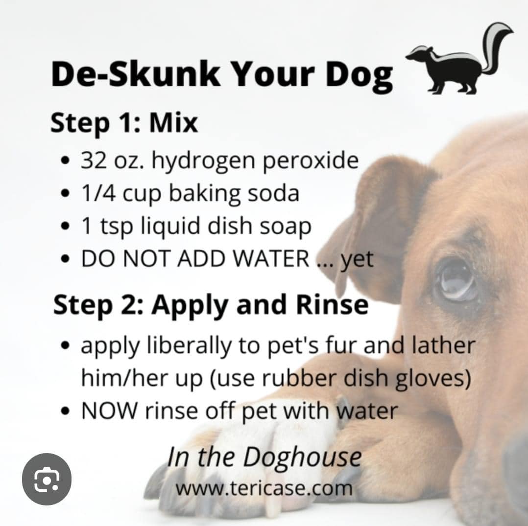 Kimberley Clean Professional Cleaning Services