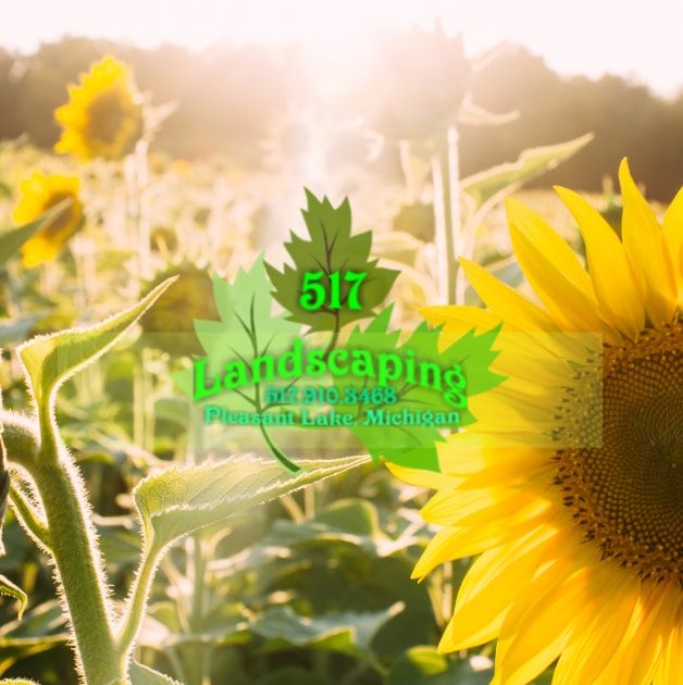 517 Landscaping