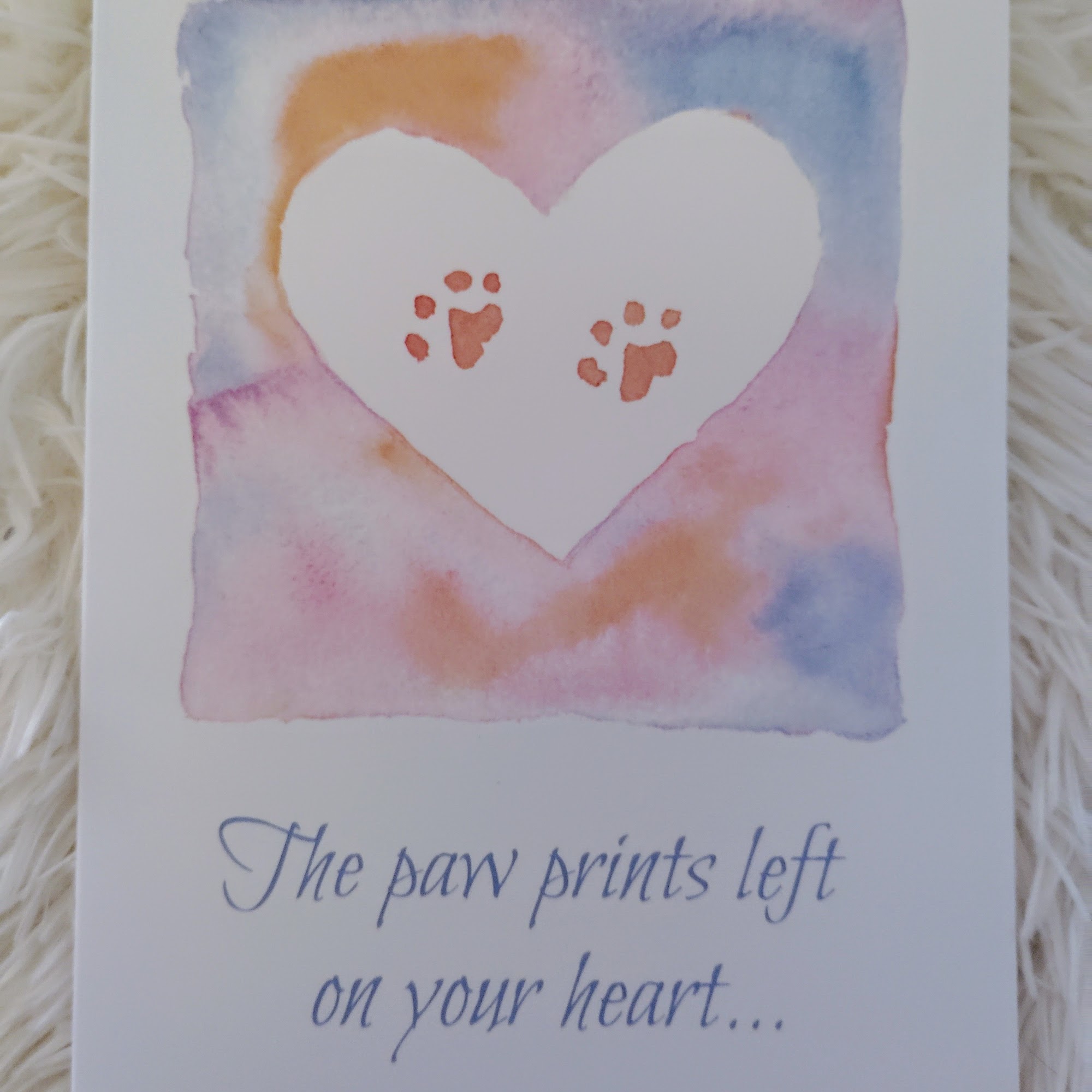 Lincoln Park Veterinary Hospital Lincoln Park