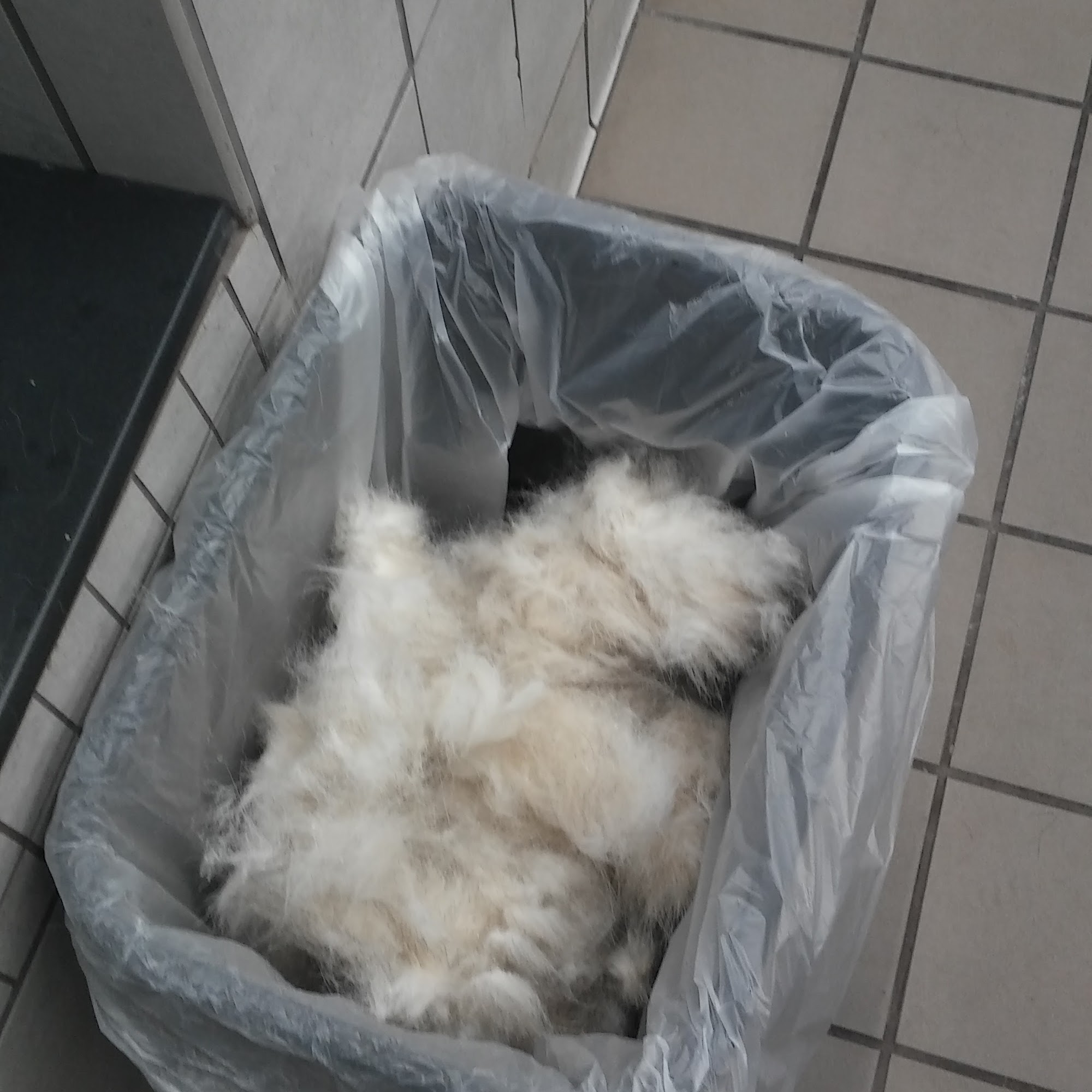 Pet Supplies Plus Livonia Livonia