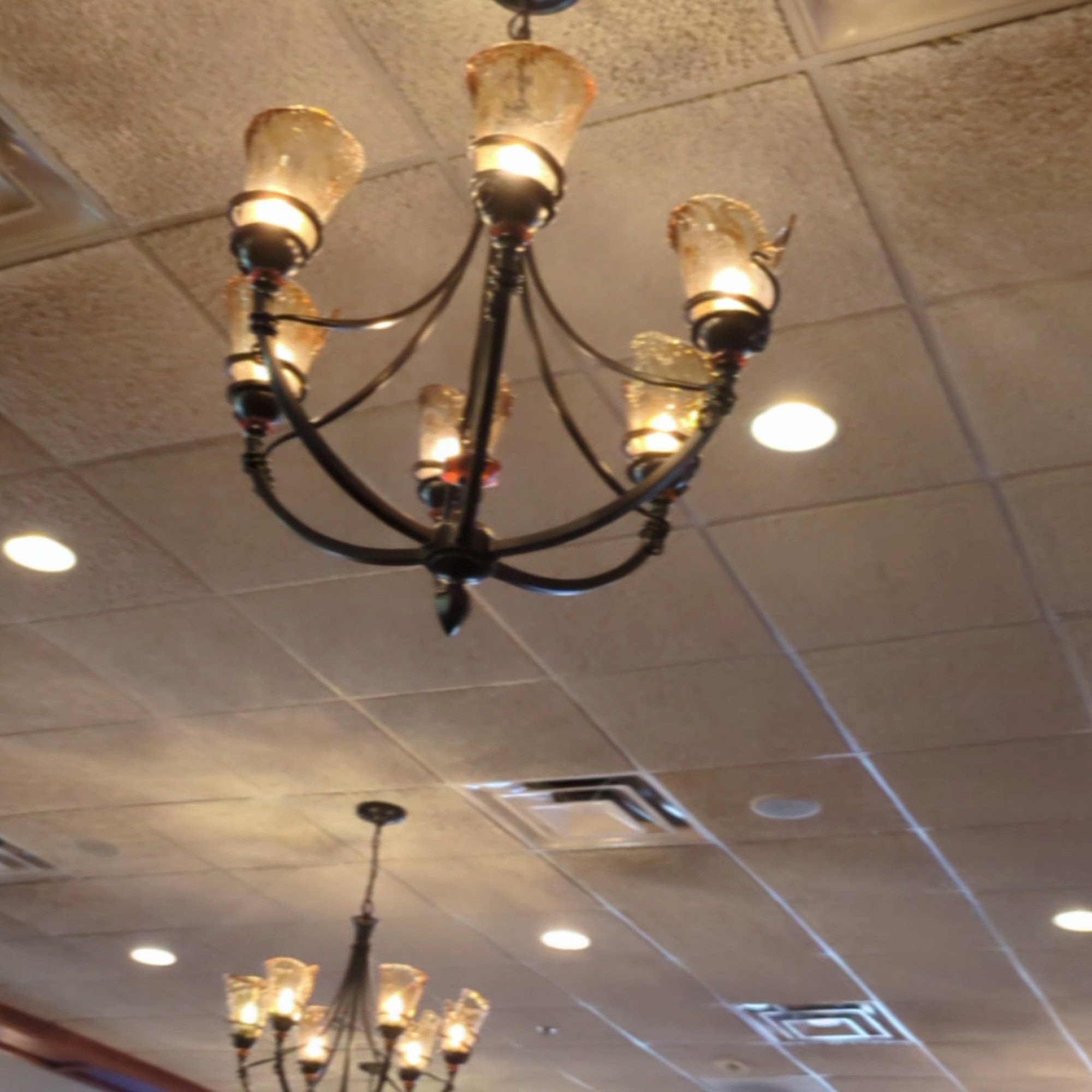 Los Amigos Don Juan Livonia