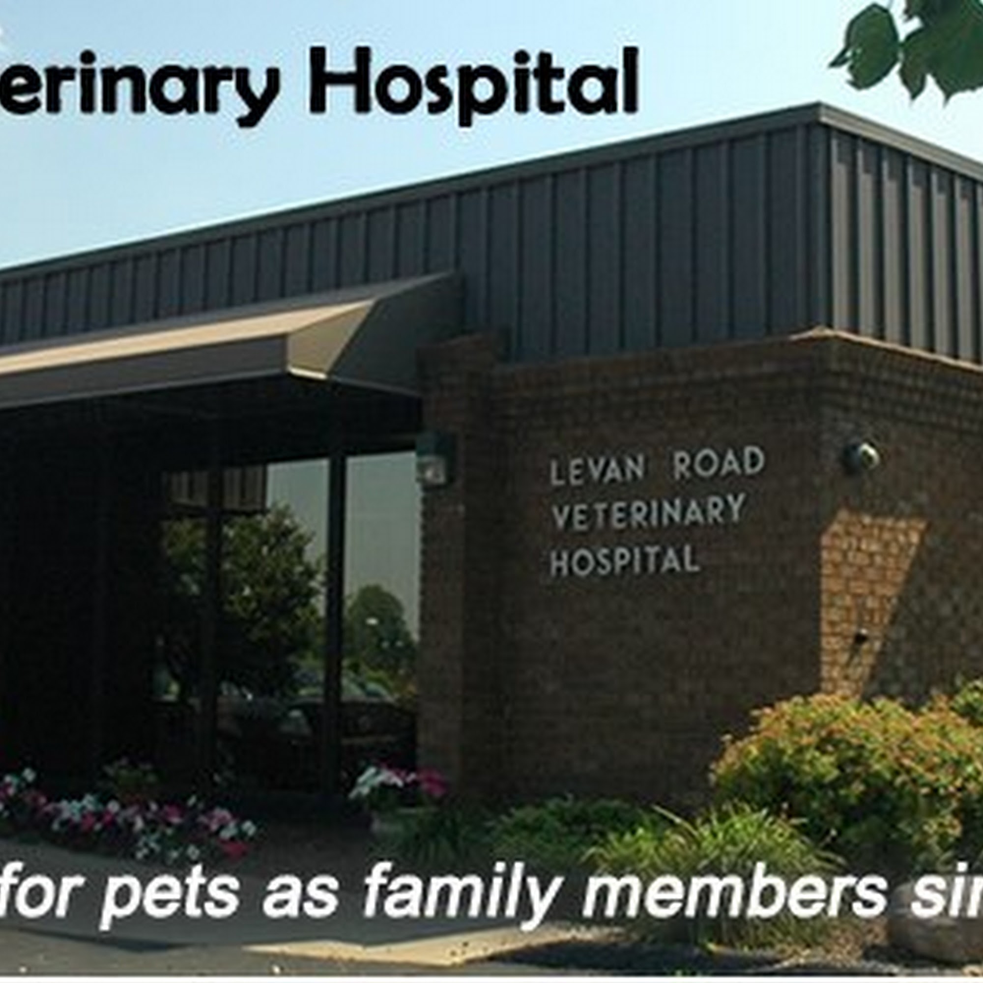 Levan Road Veterinary Hospital Livonia