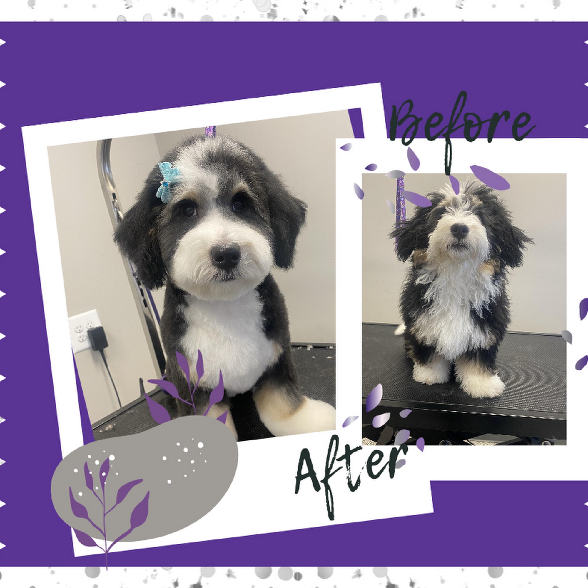 Fancy Fur, LLC Livonia