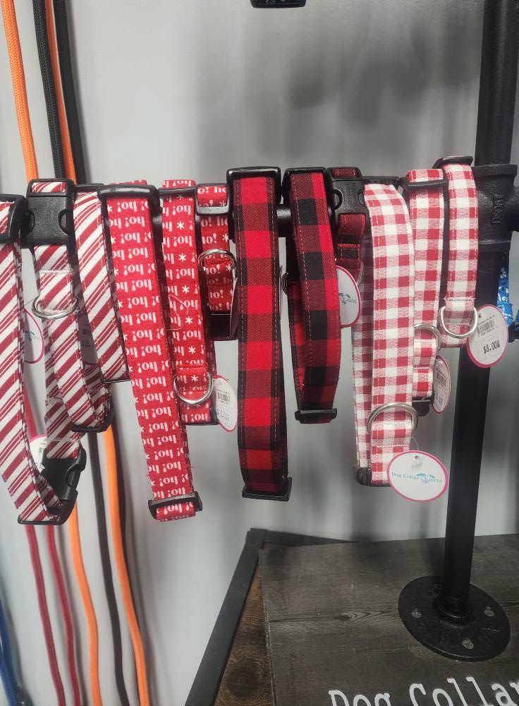 Special Touch Pet Salon Livonia