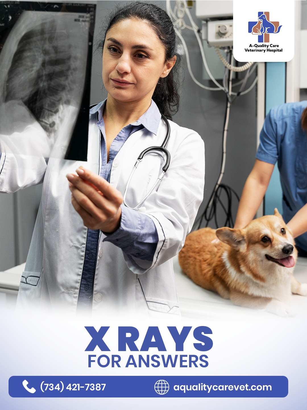 A-Quality Care Veterinary Hospital Livonia