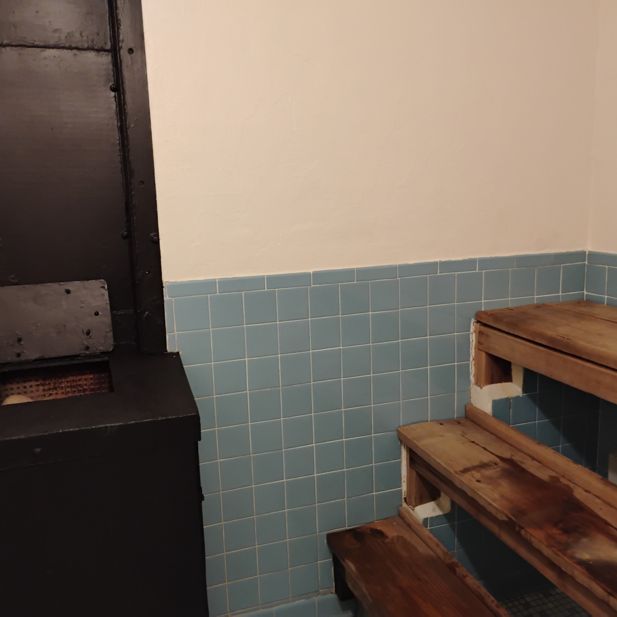Livonia Sauna 28342 Five Mile Rd, Livonia Michigan 48154