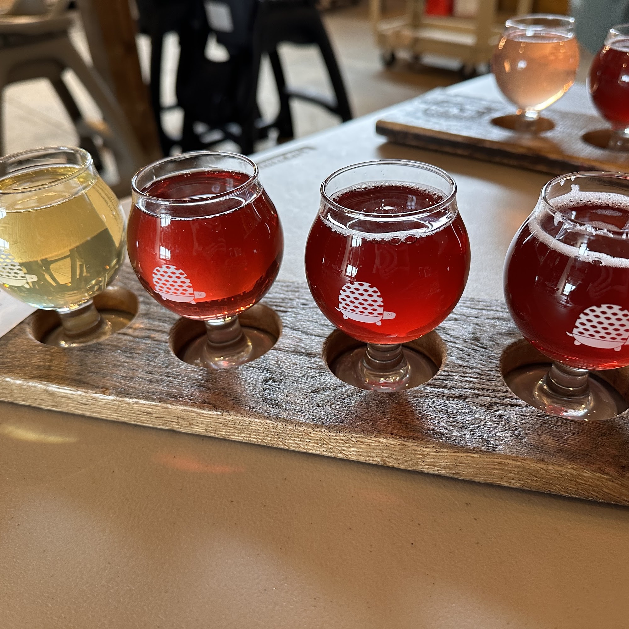 Painted Turtle Hard Cider Tasting Room Lowell