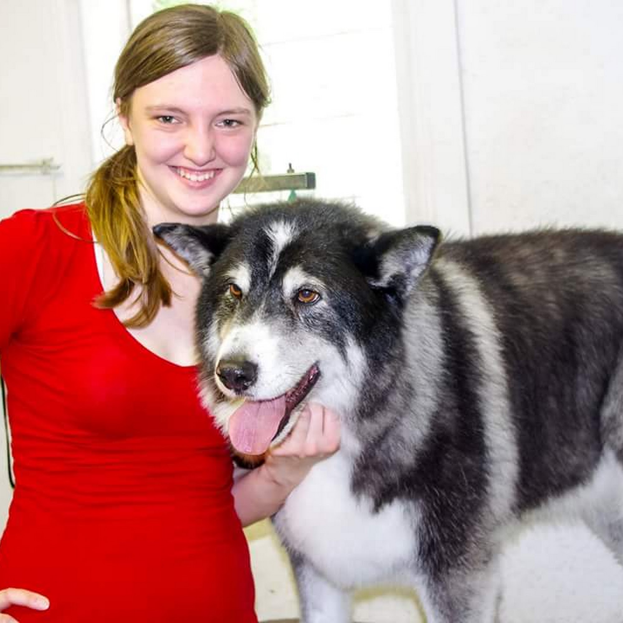 Kate's Kritter Care Ludington