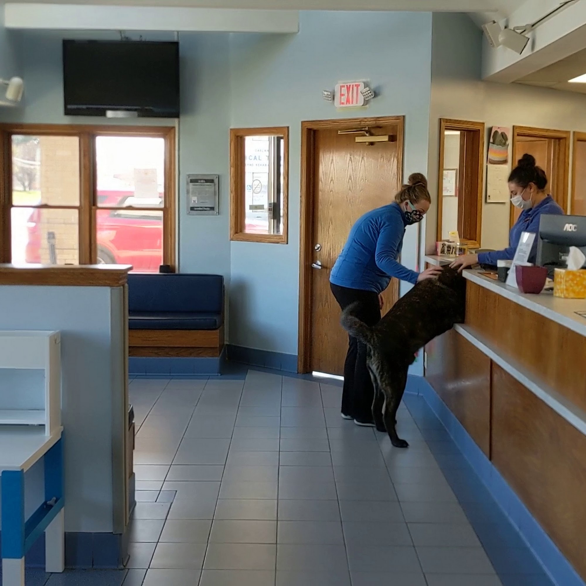 Madison Veterinary Hospital Madison Heights