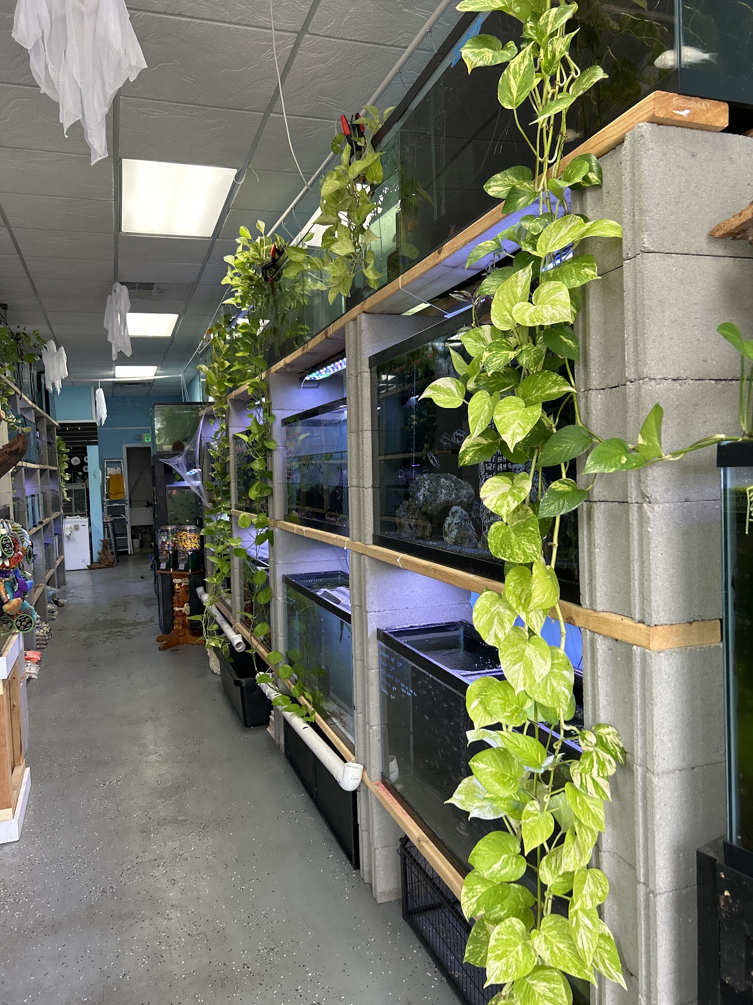 Chris's Pet Store Madison Heights